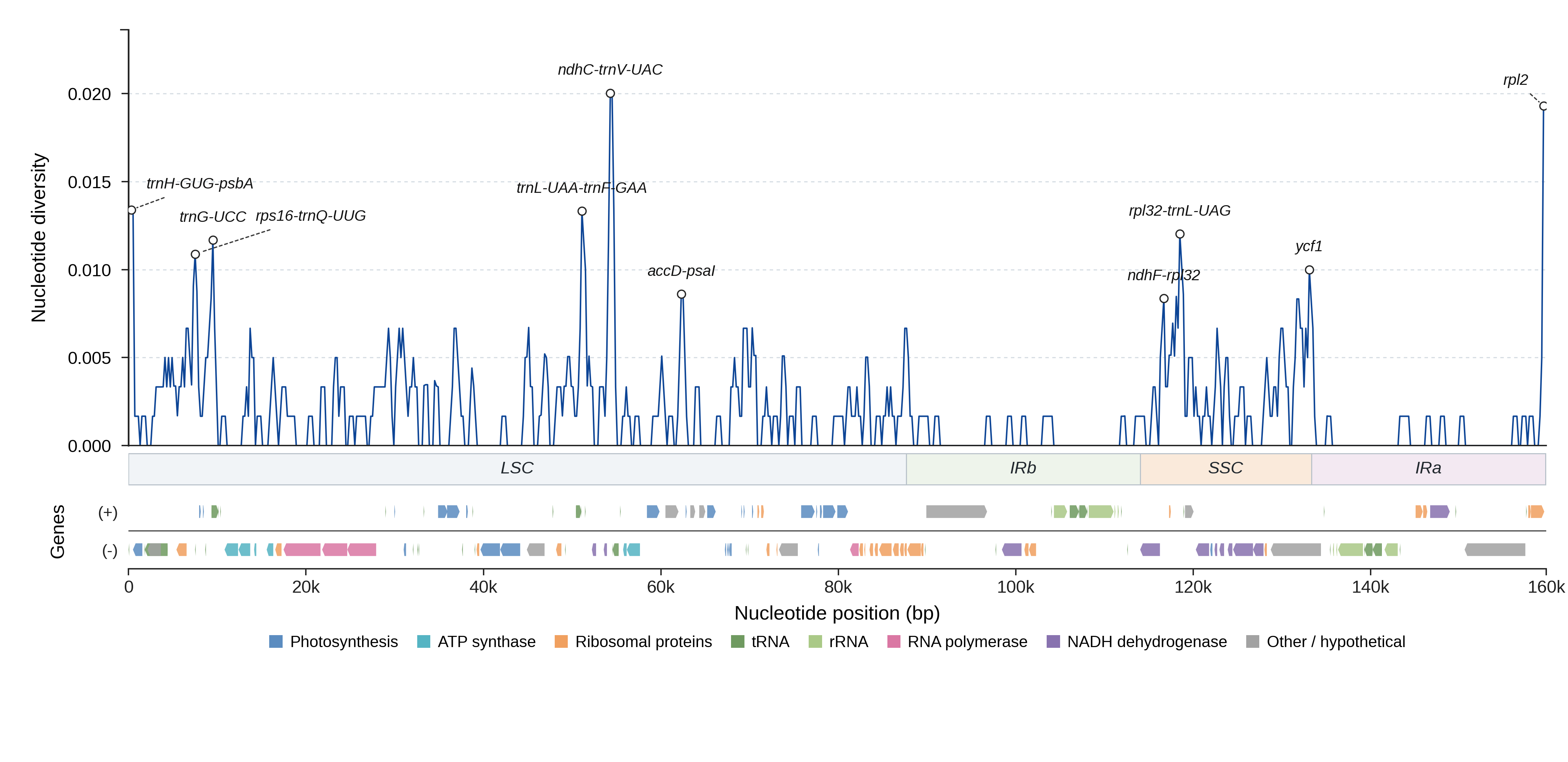Sliding-window nucleotide diversity