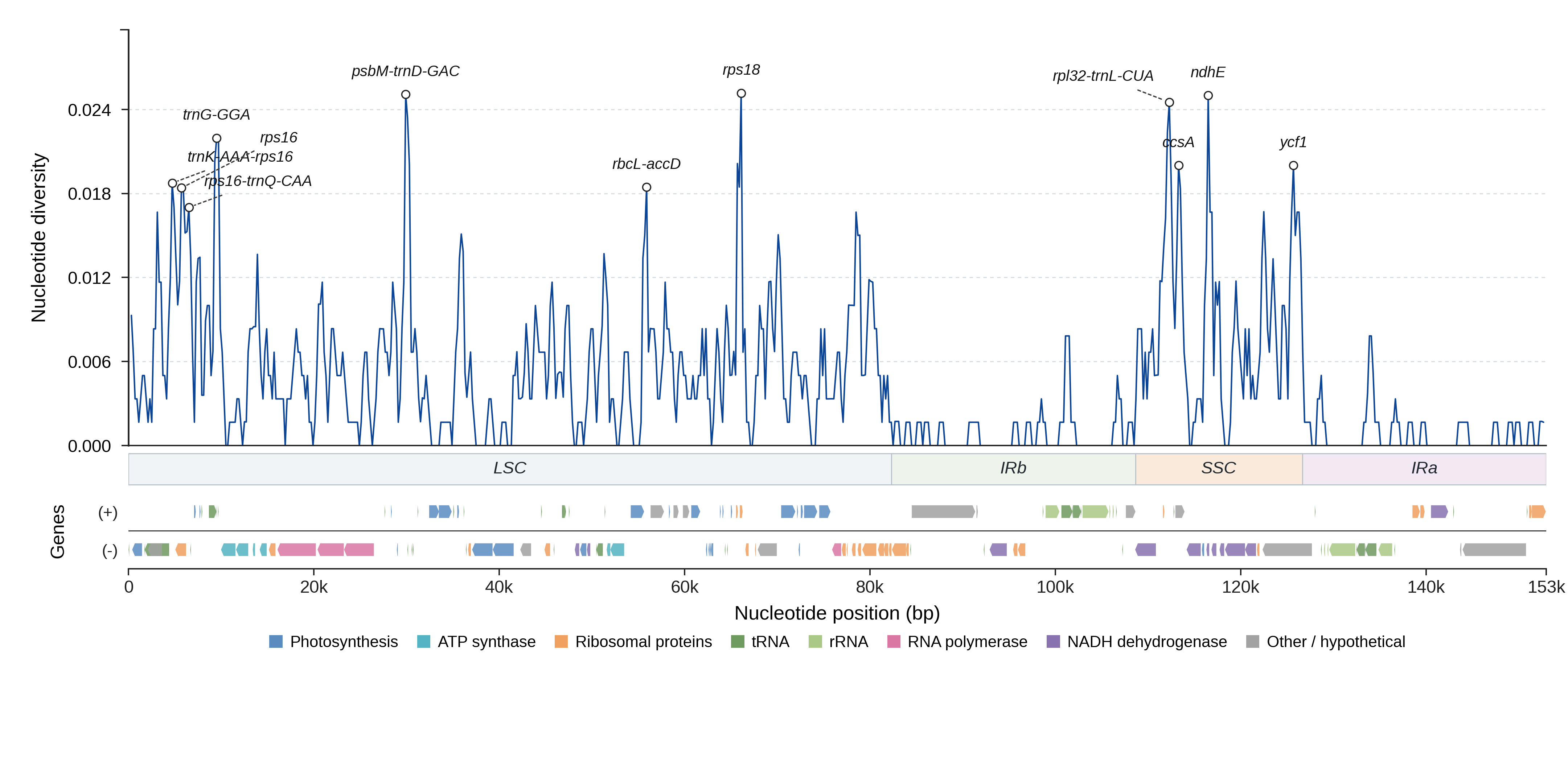 Sliding-window nucleotide diversity