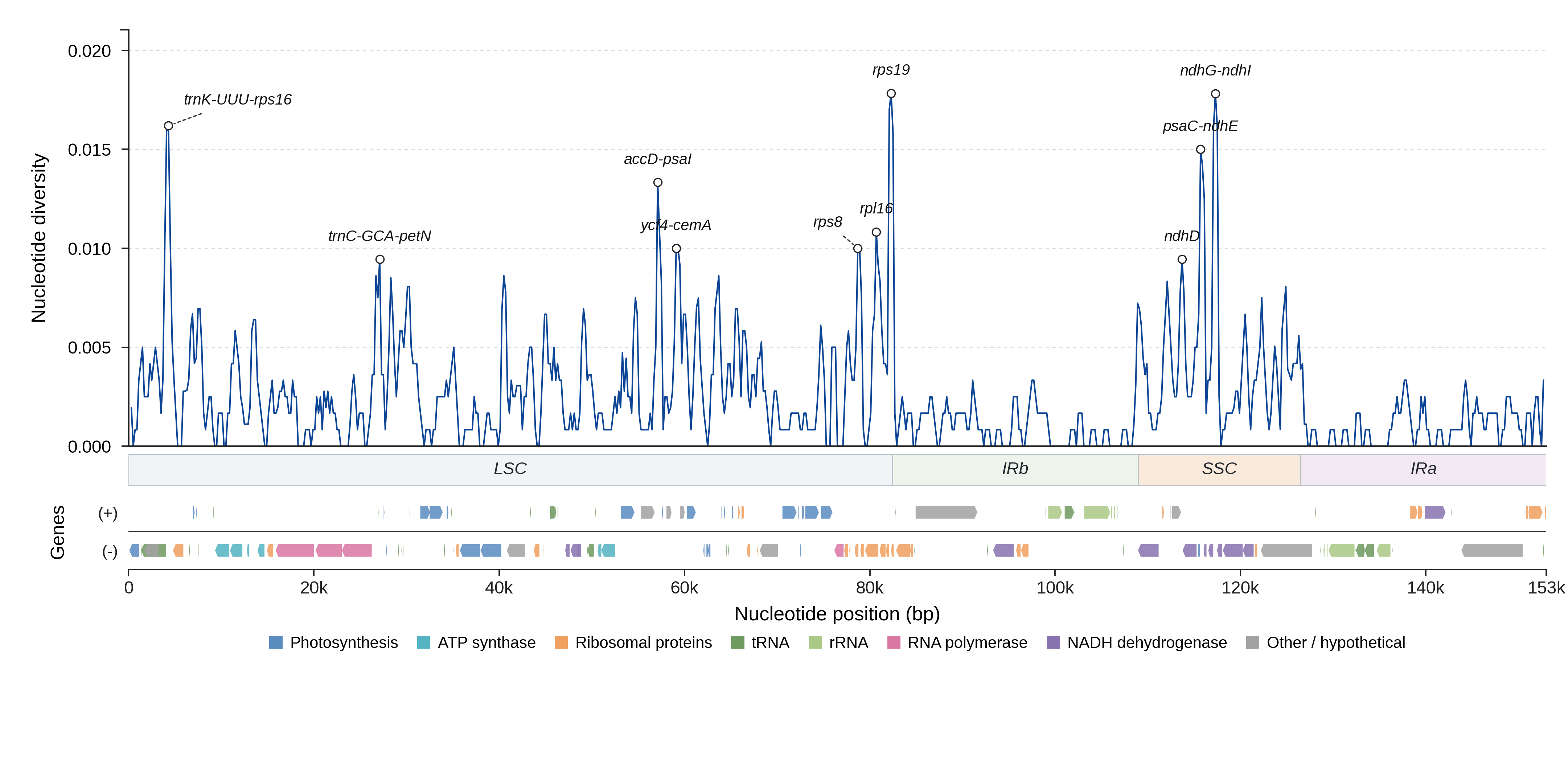 Sliding-window nucleotide diversity
