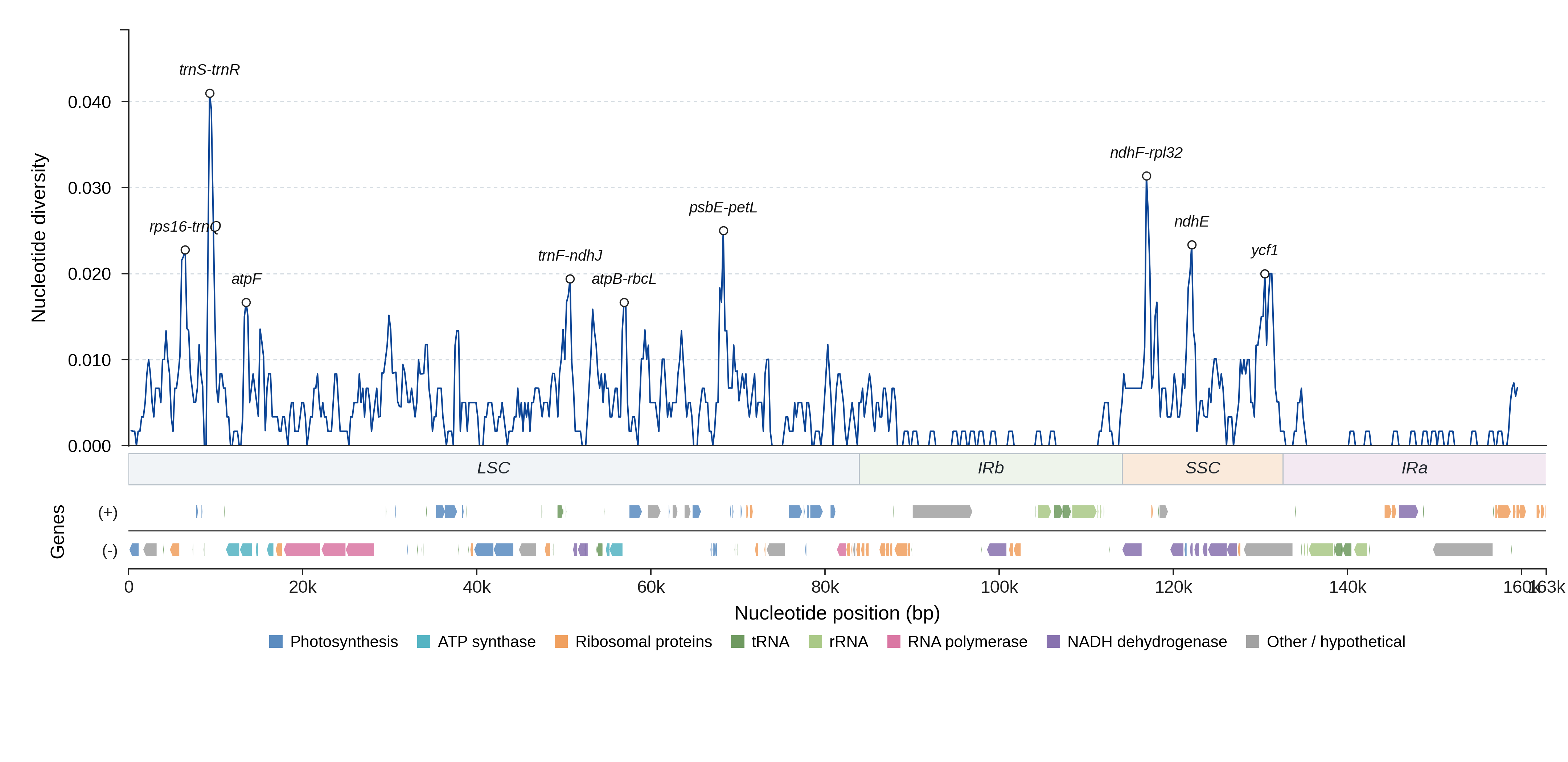 Sliding-window nucleotide diversity