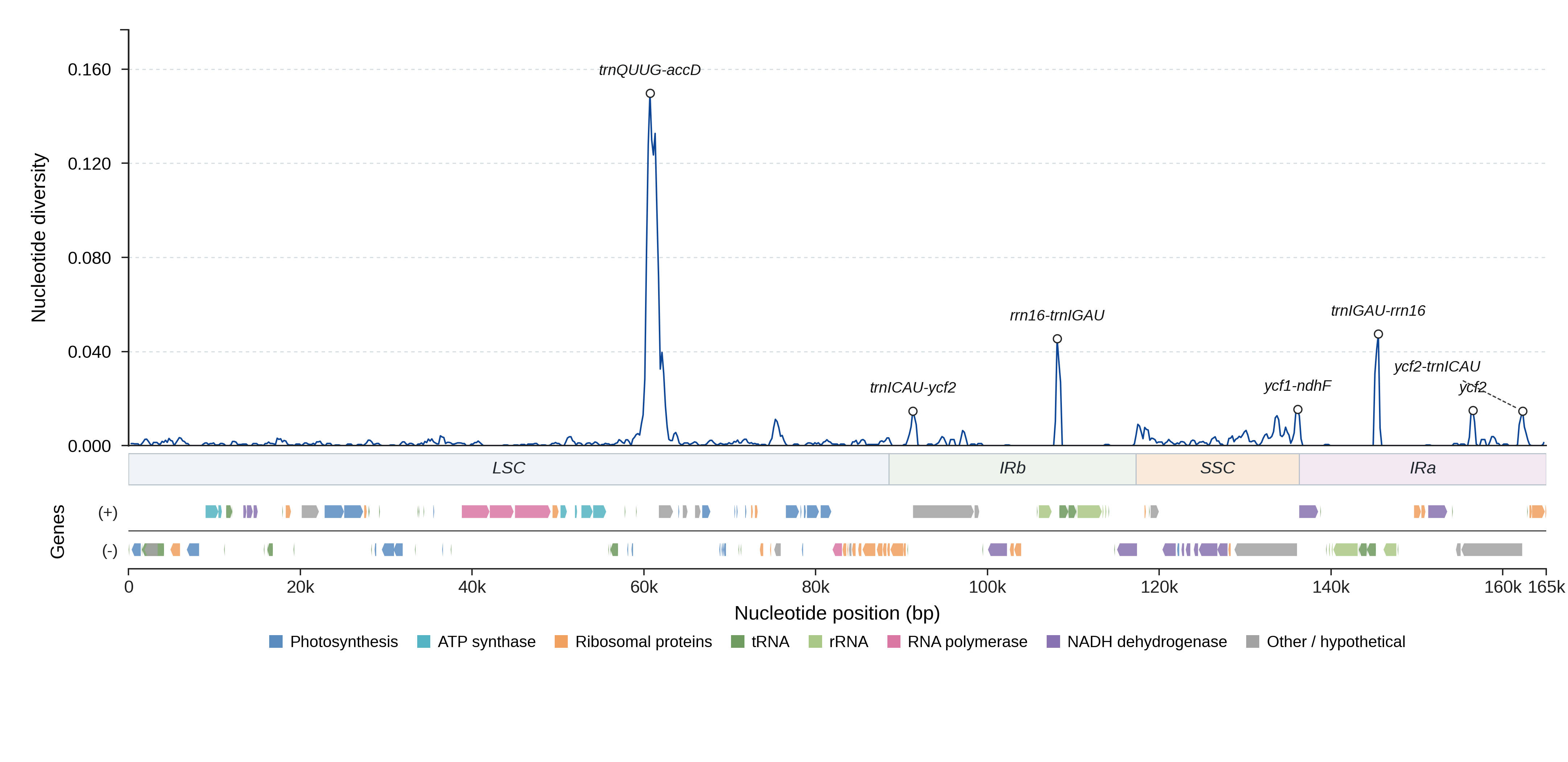 Sliding-window nucleotide diversity