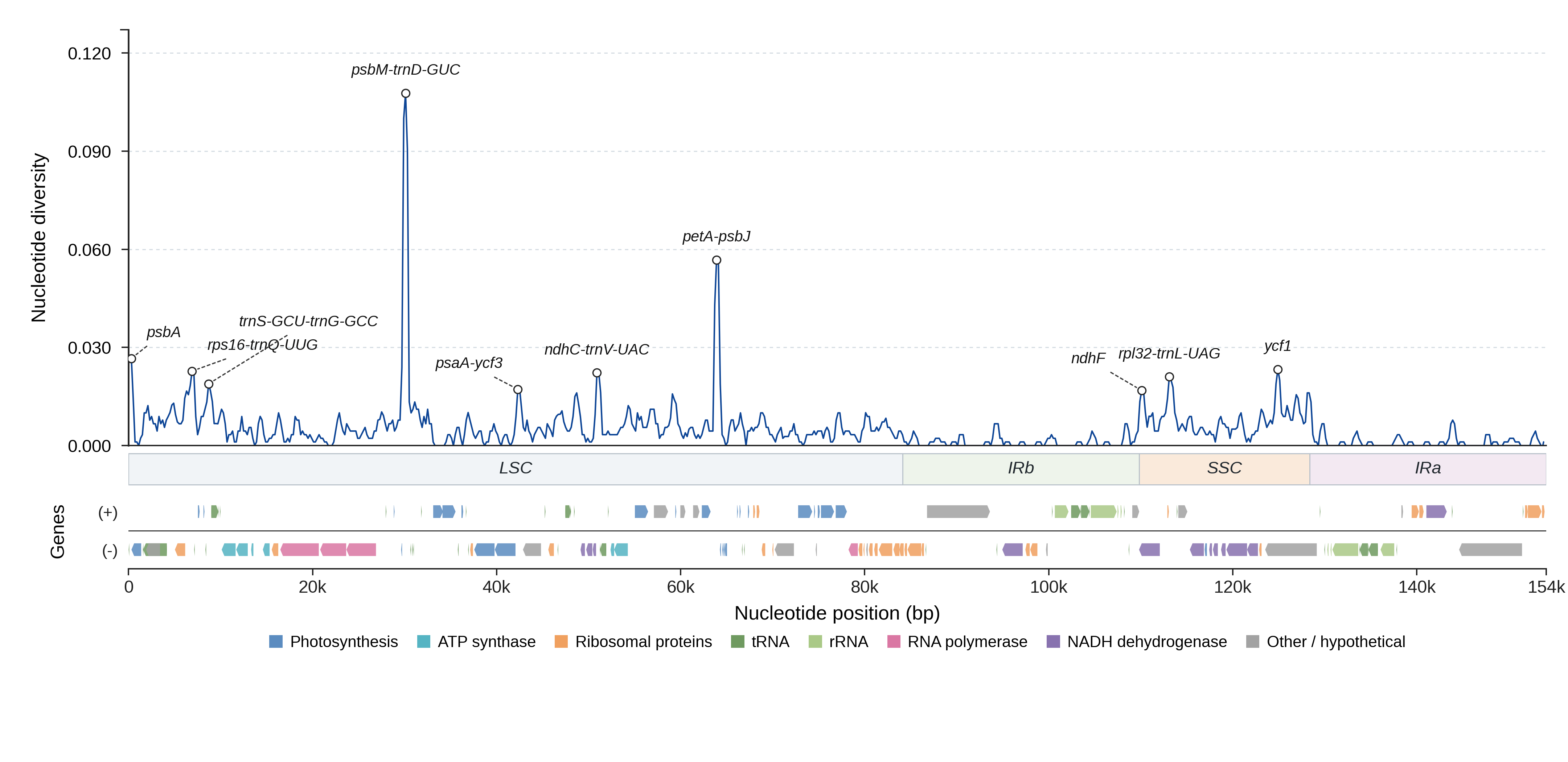 Sliding-window nucleotide diversity