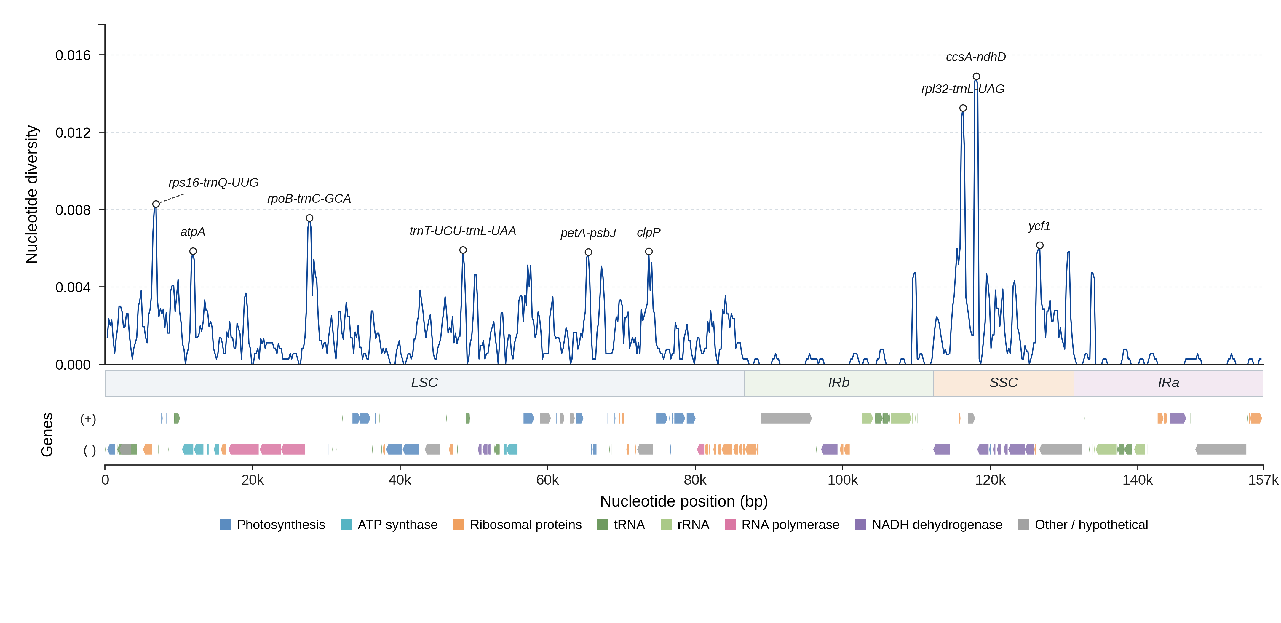 Sliding-window nucleotide diversity