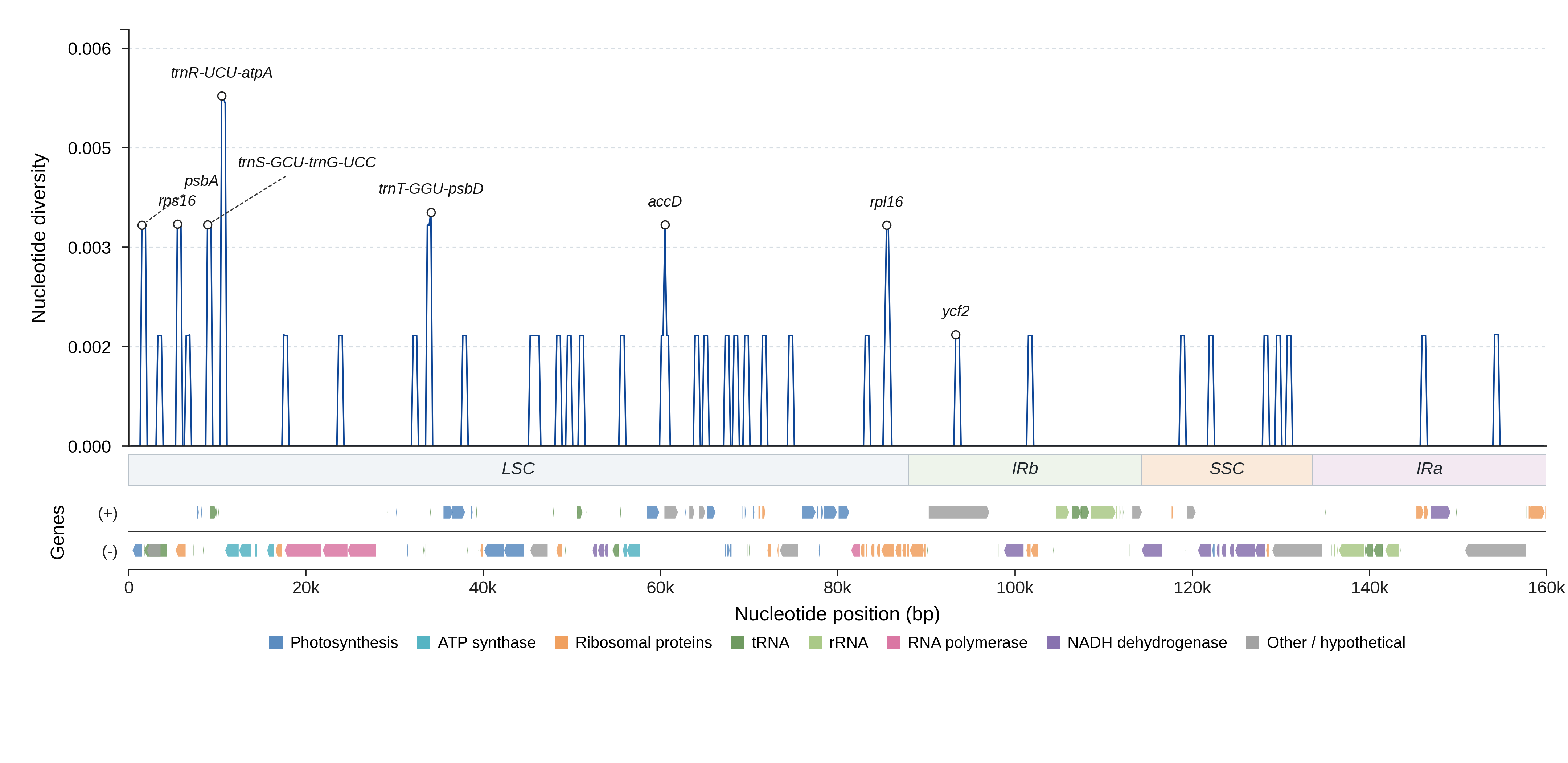 Sliding-window nucleotide diversity