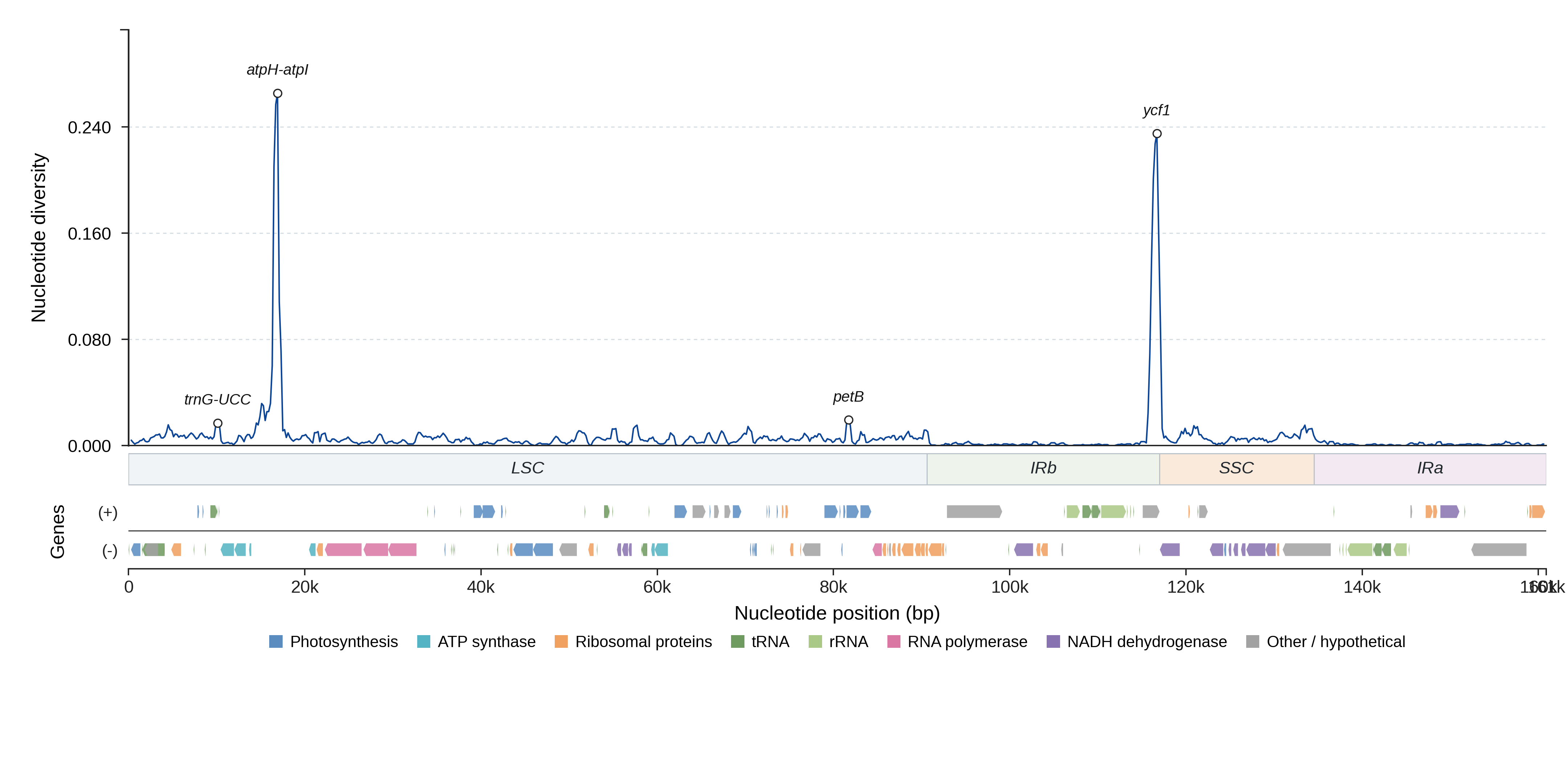 Sliding-window nucleotide diversity