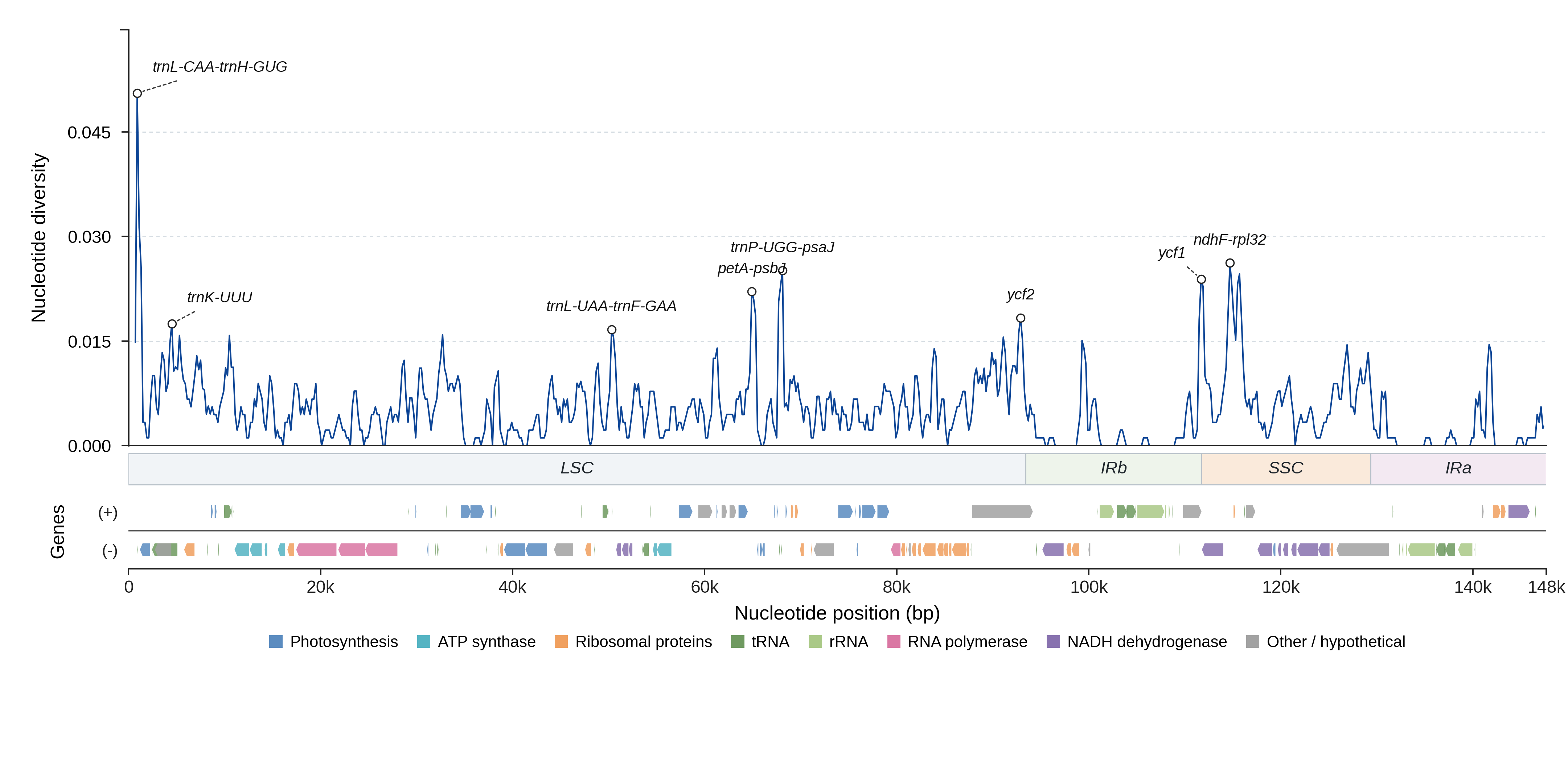 Sliding-window nucleotide diversity