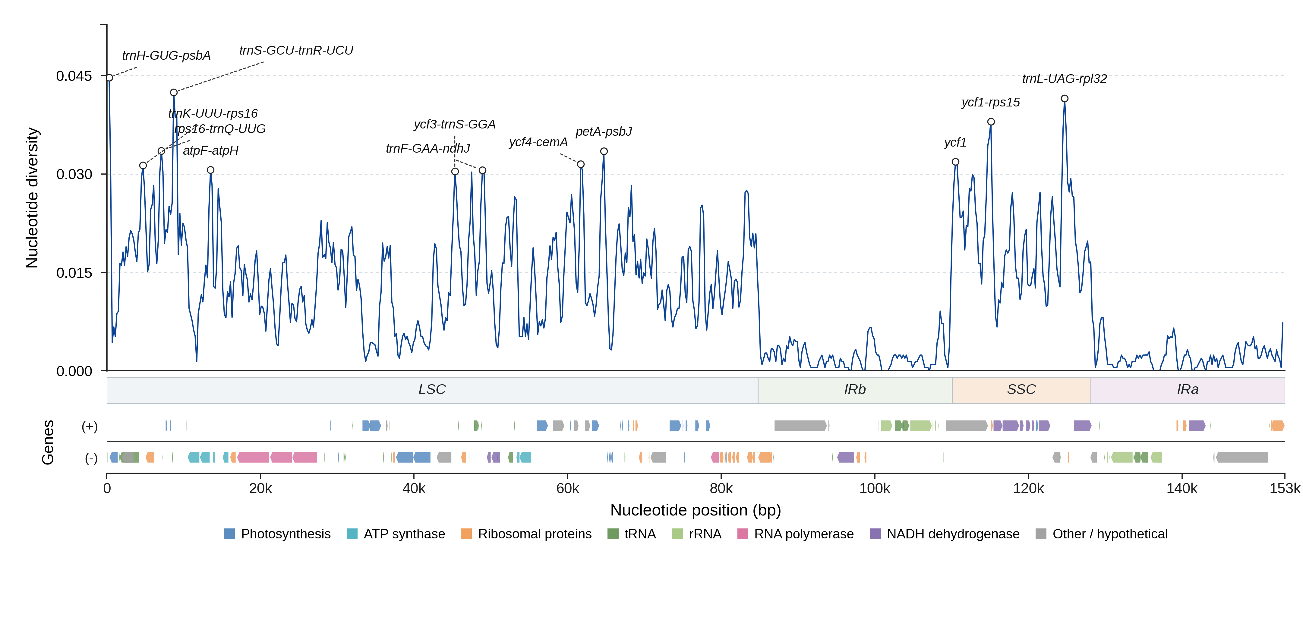 Sliding-window nucleotide diversity