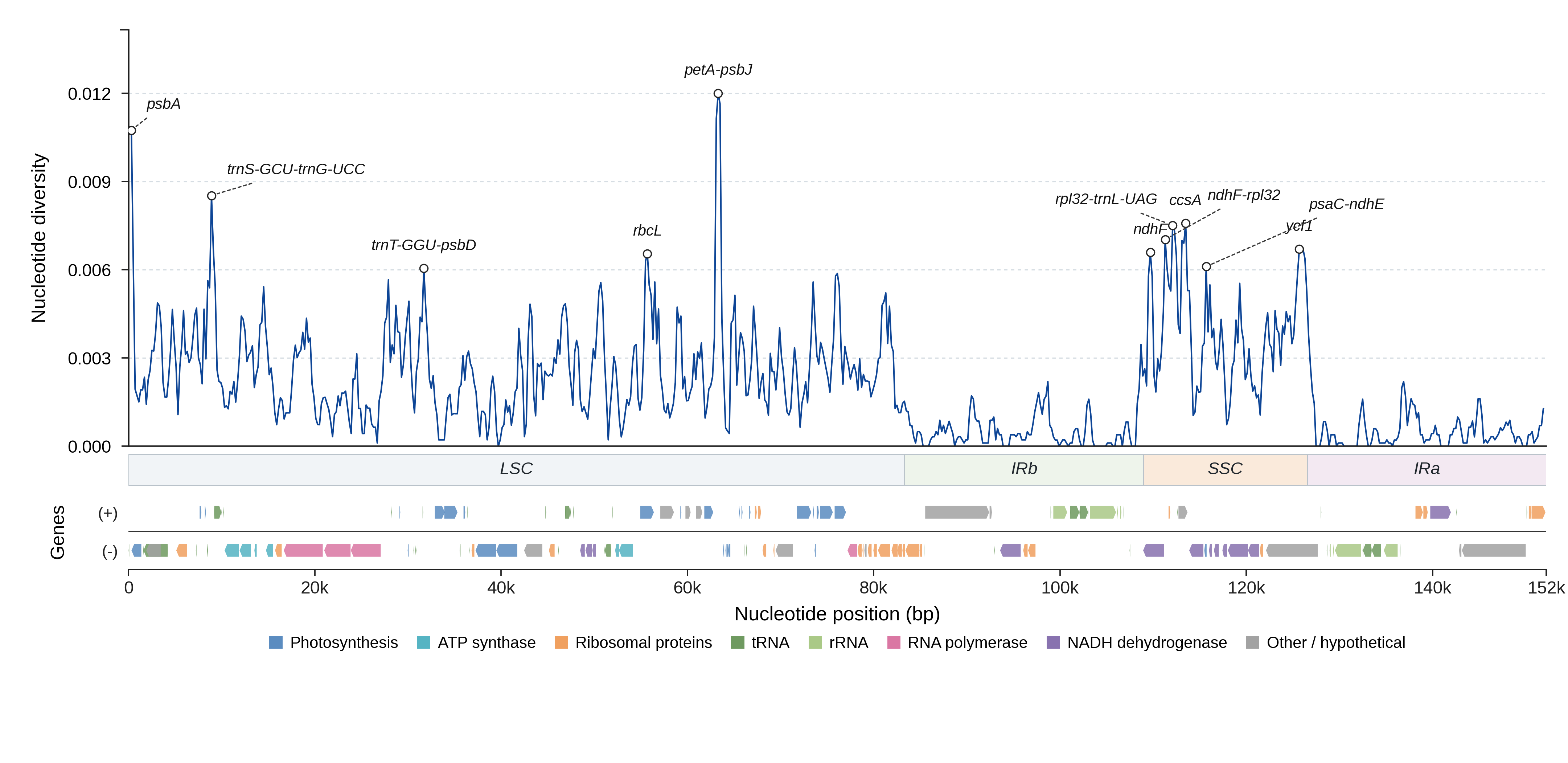Sliding-window nucleotide diversity