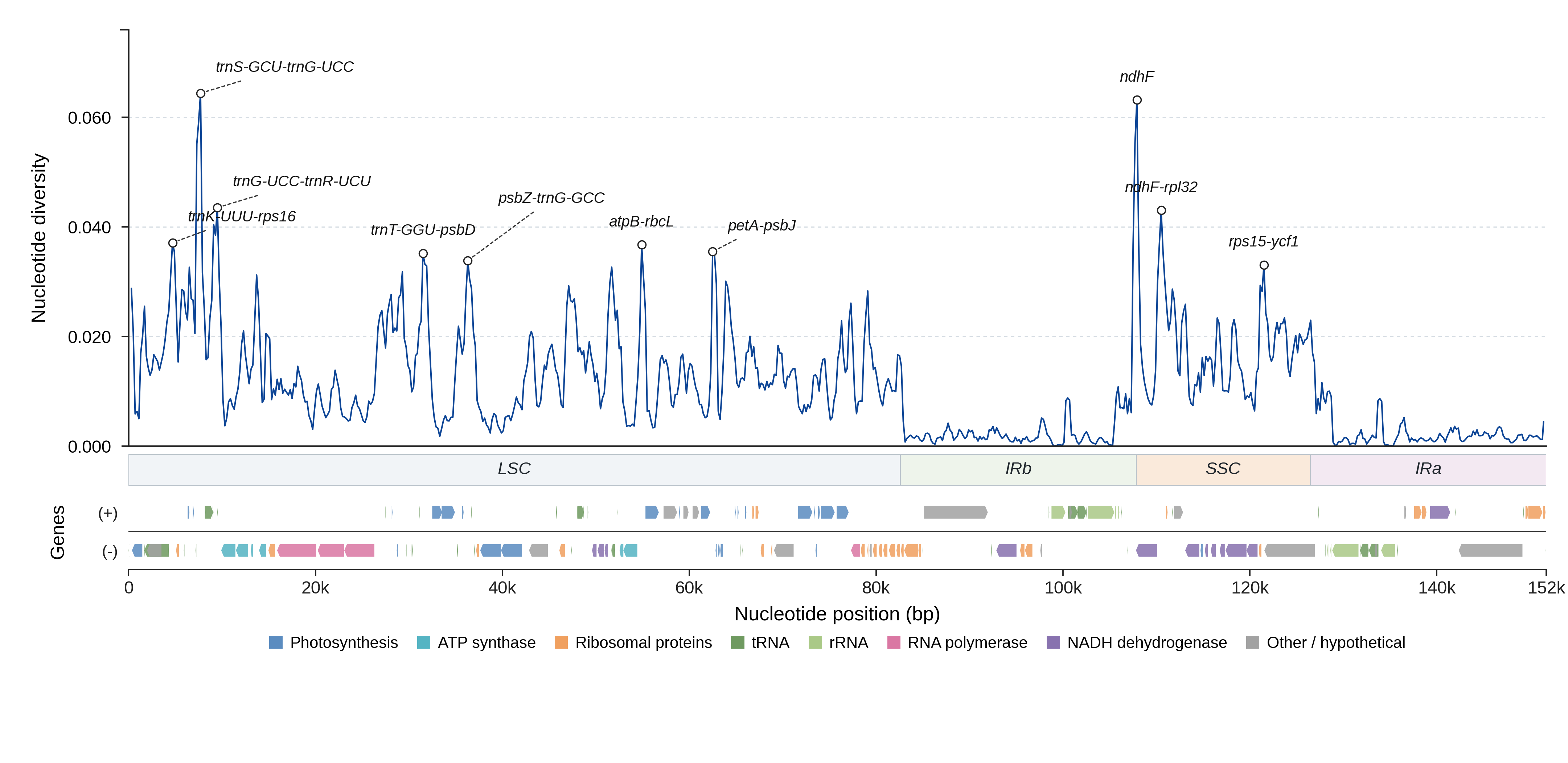 Sliding-window nucleotide diversity