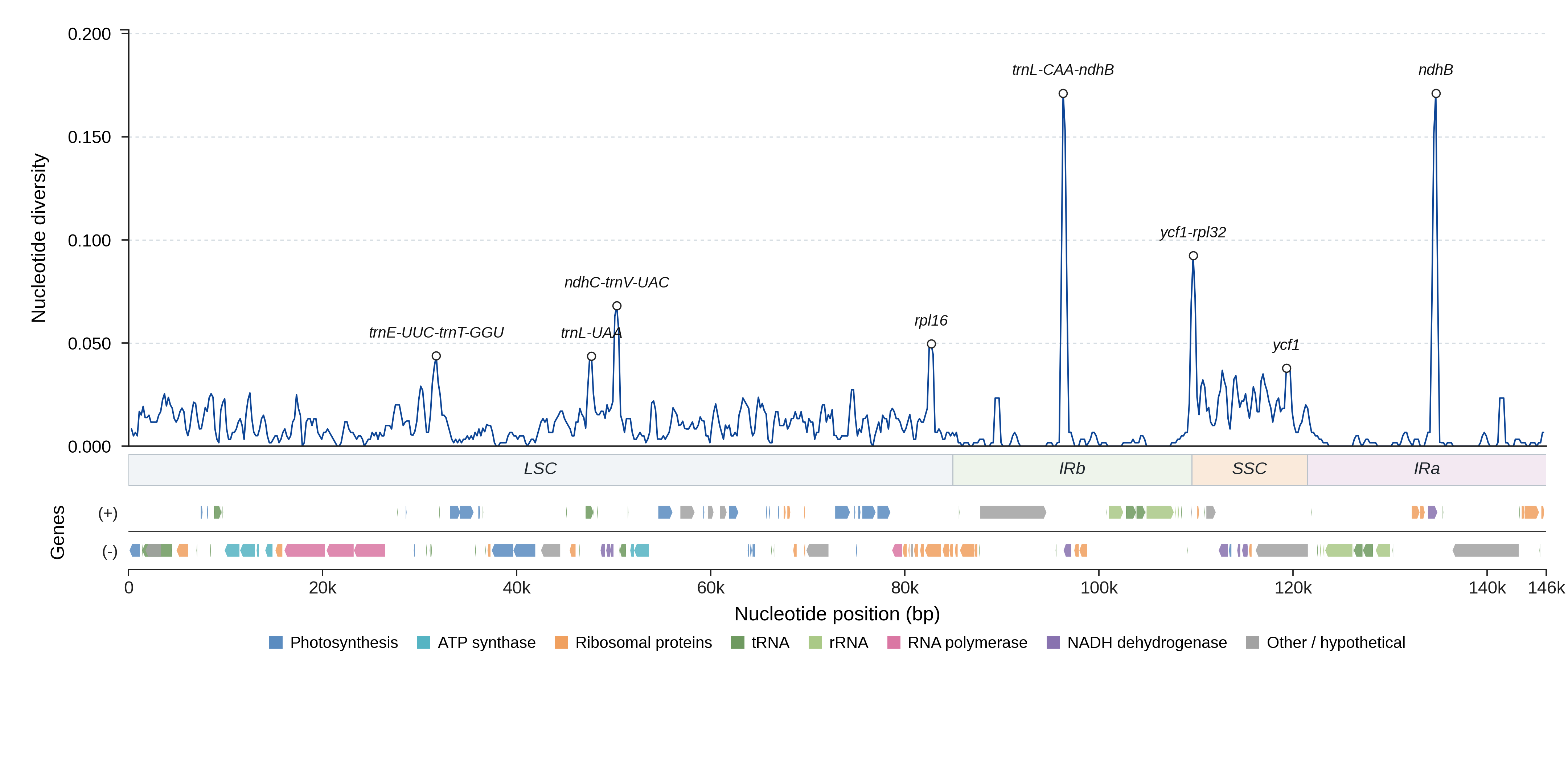 Sliding-window nucleotide diversity