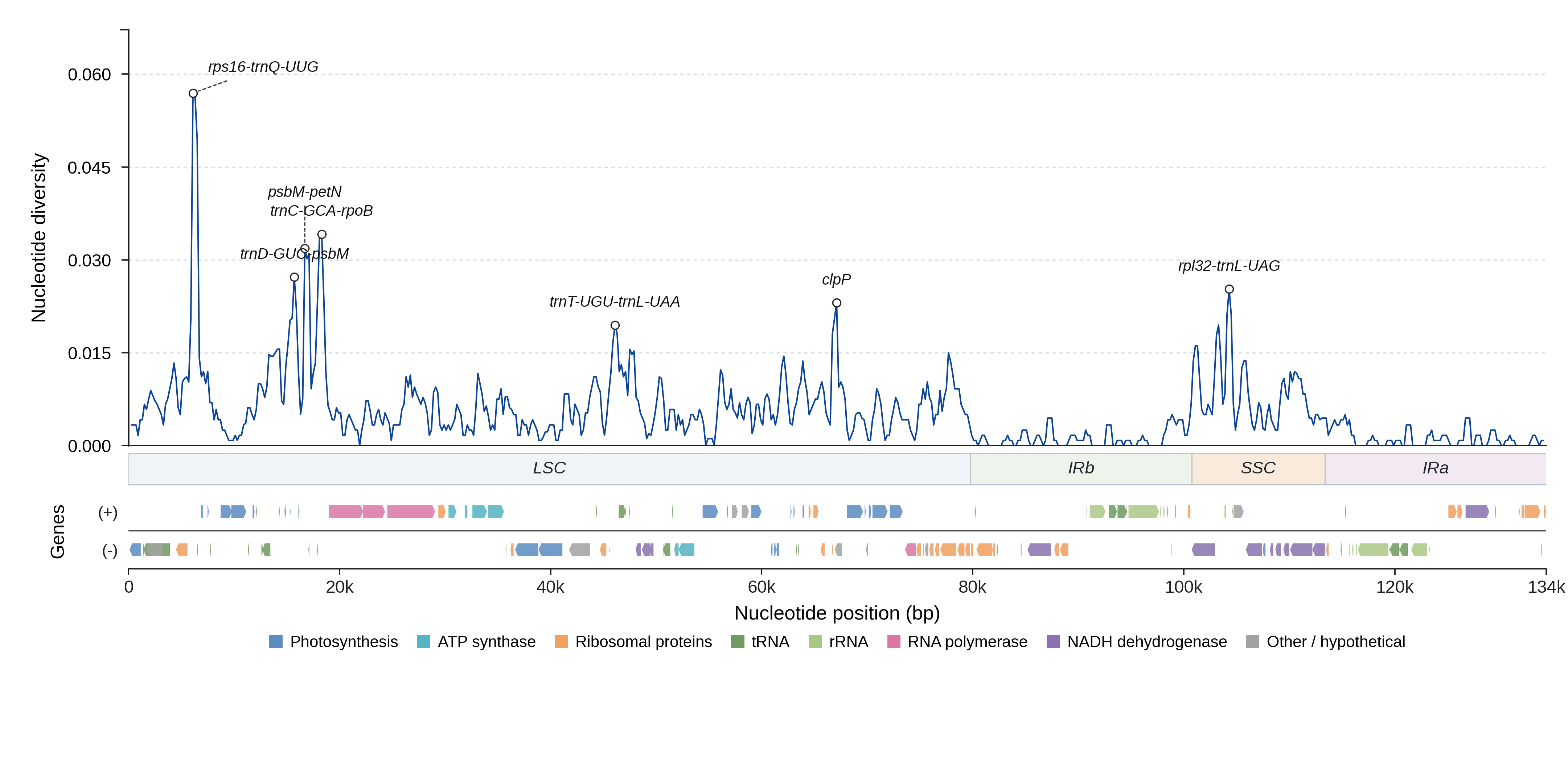 Sliding-window nucleotide diversity