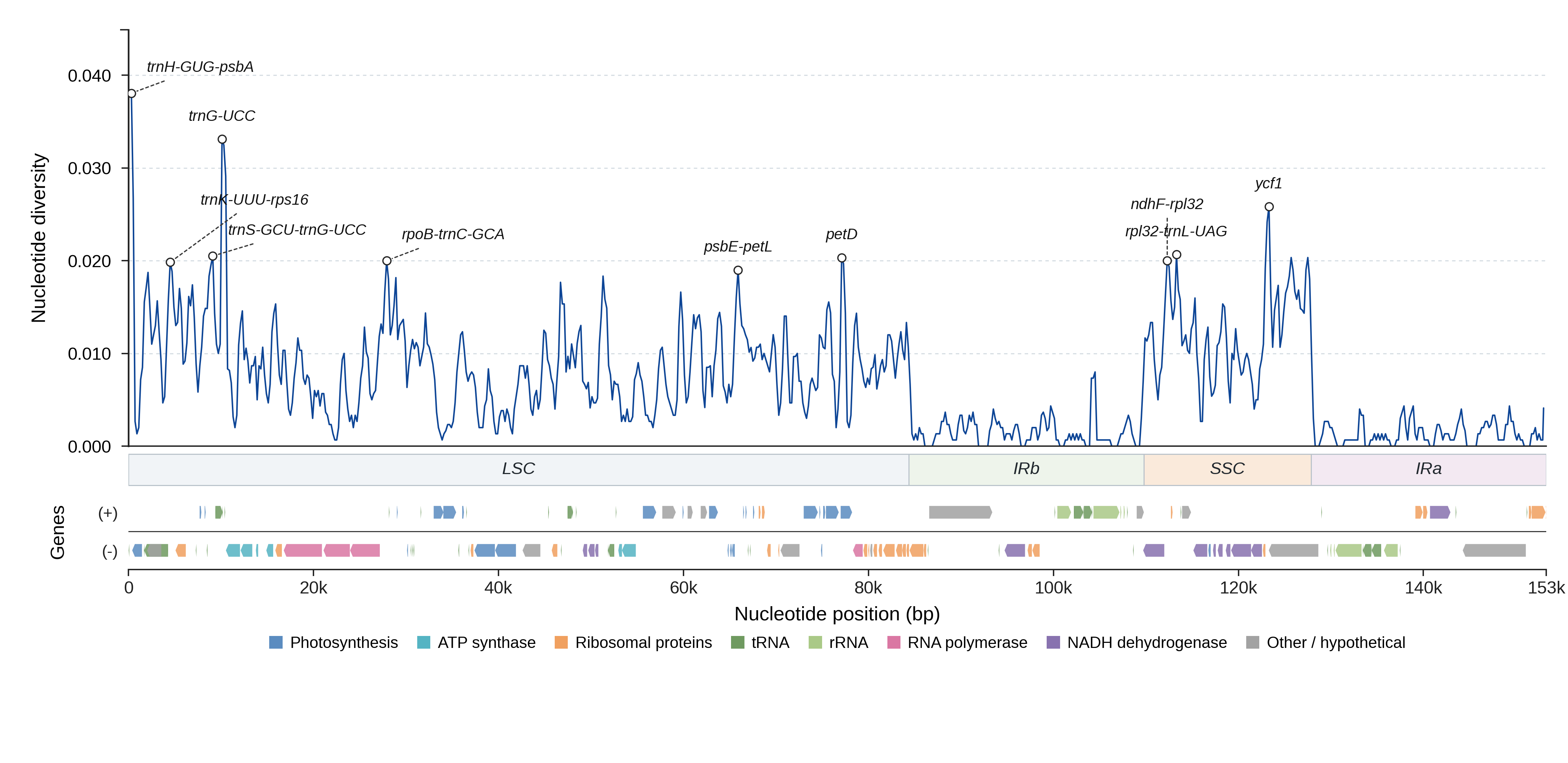 Sliding-window nucleotide diversity