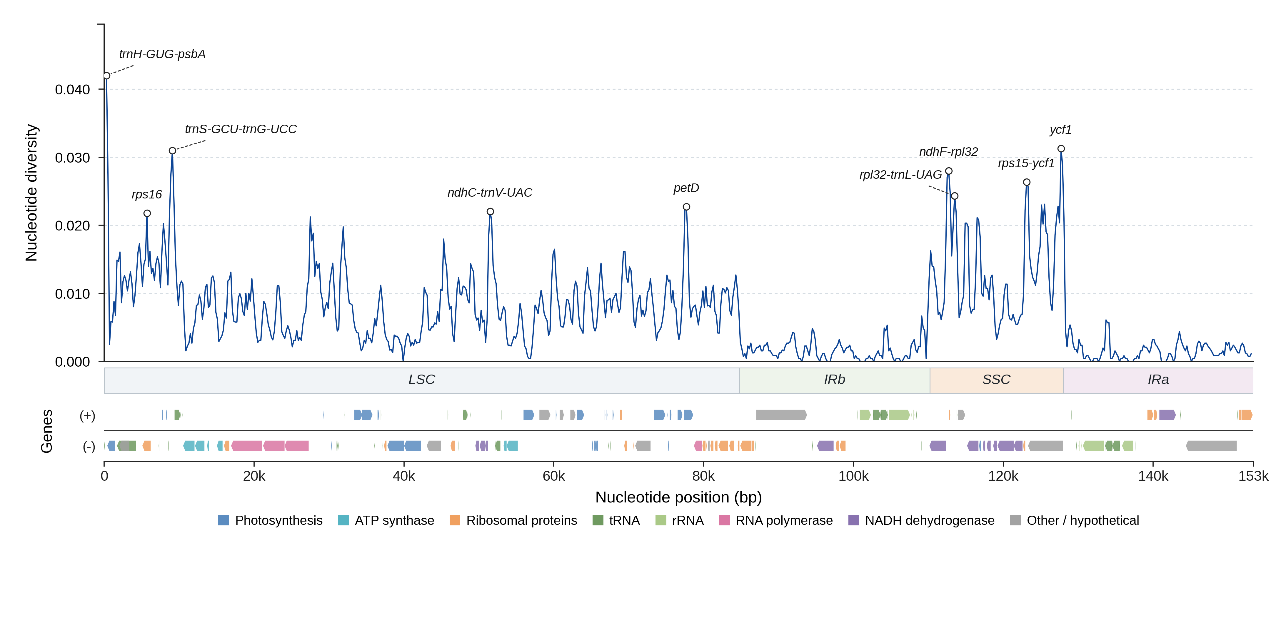 Sliding-window nucleotide diversity
