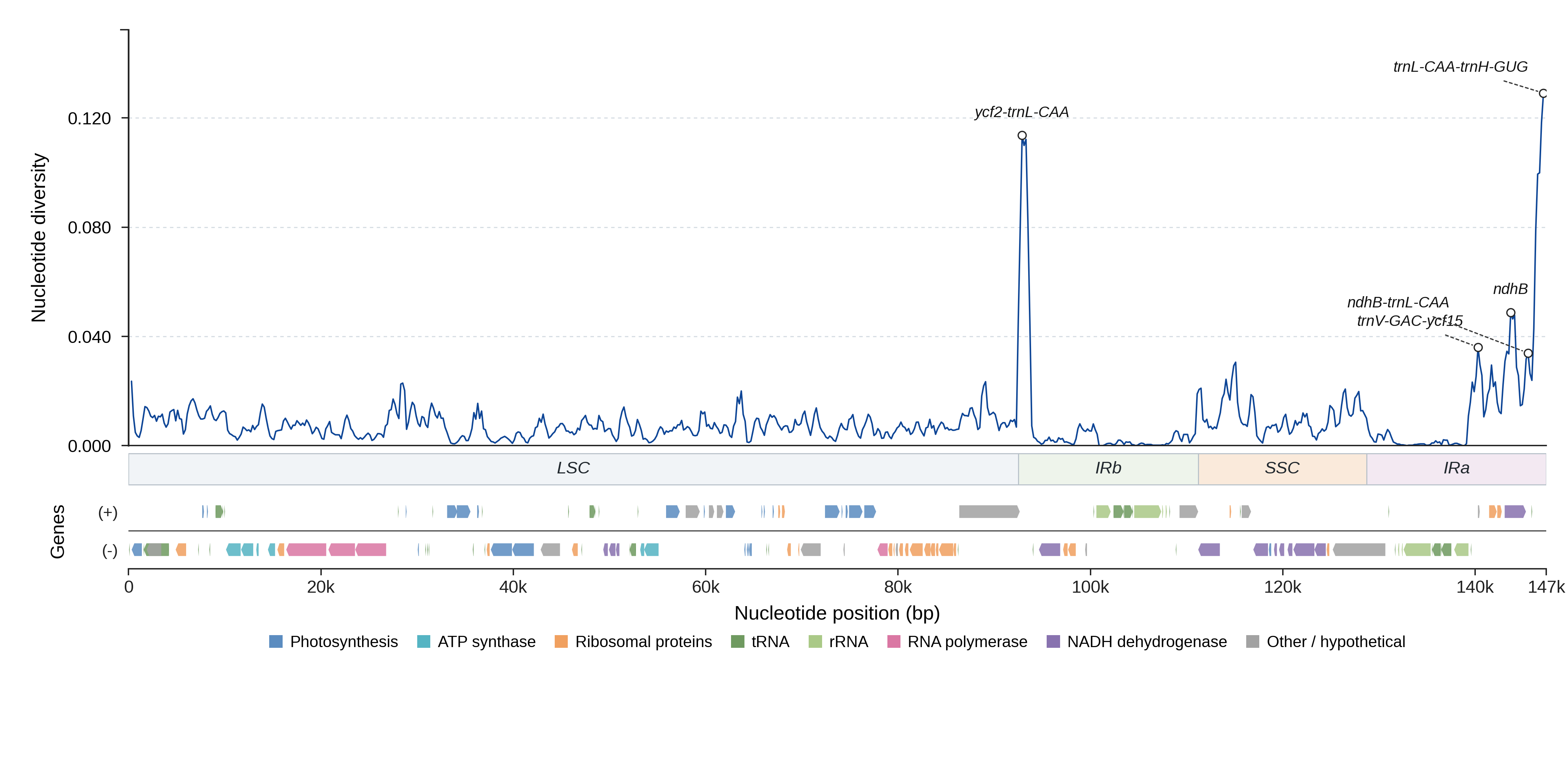 Sliding-window nucleotide diversity
