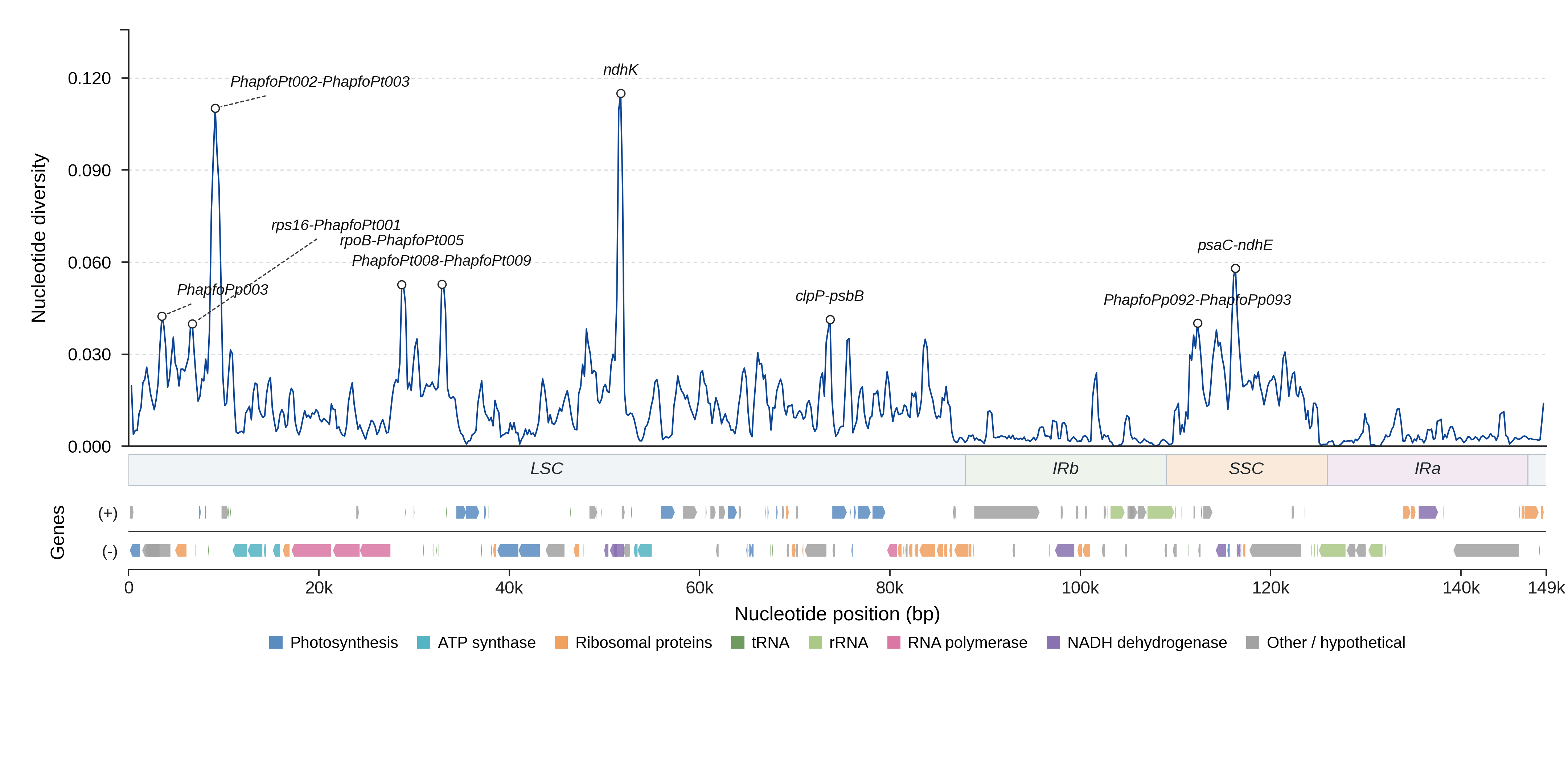 Sliding-window nucleotide diversity