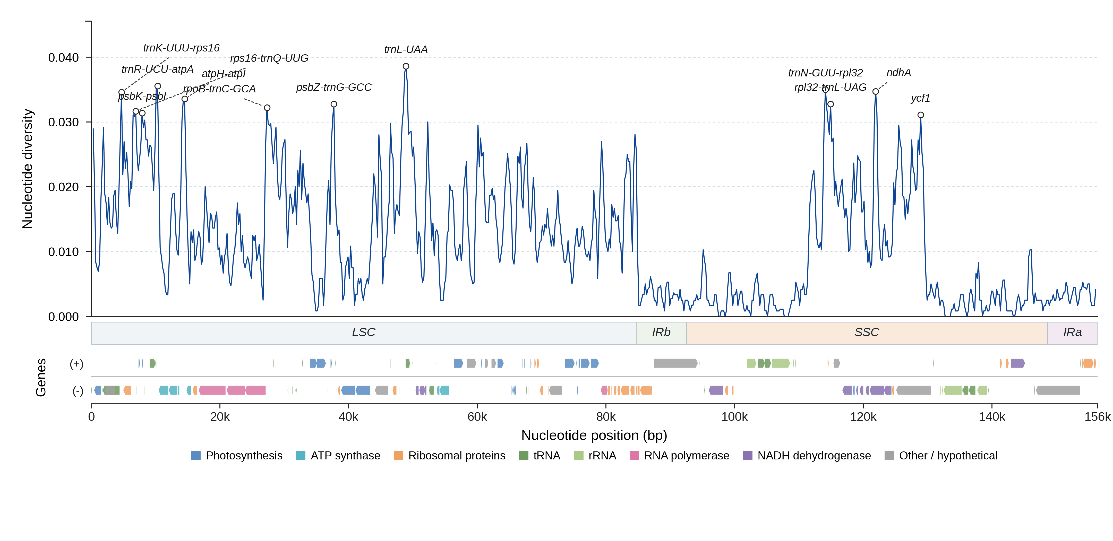 Sliding-window nucleotide diversity