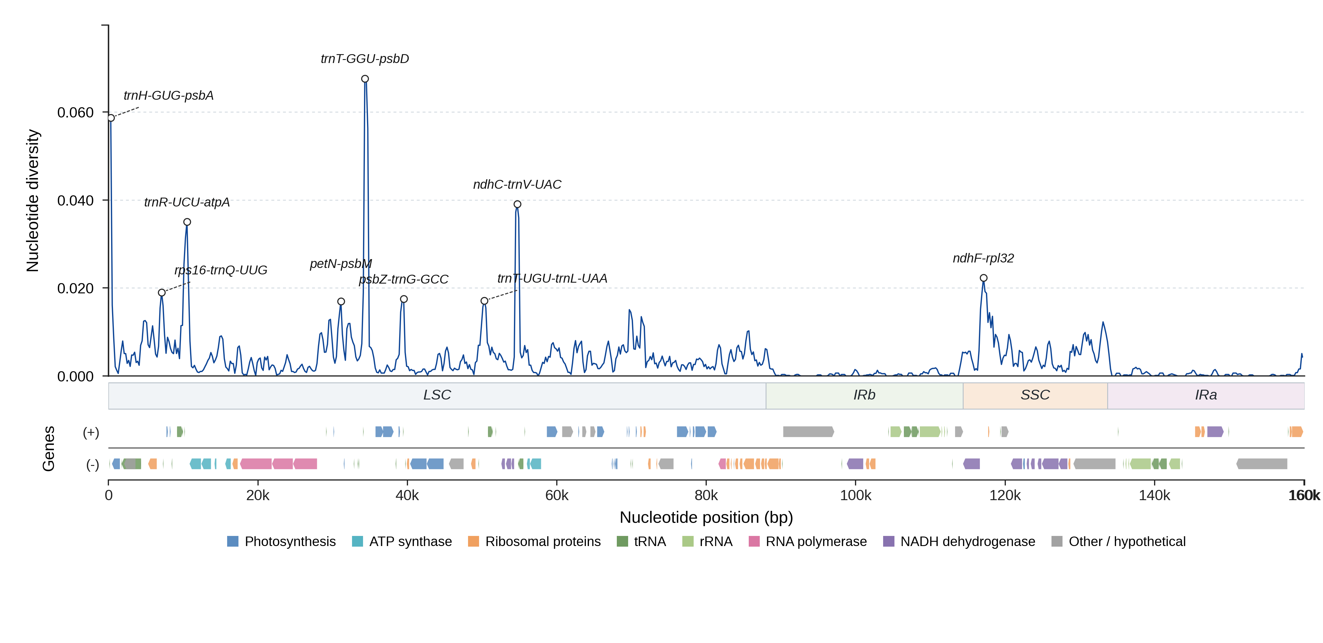 Sliding-window nucleotide diversity