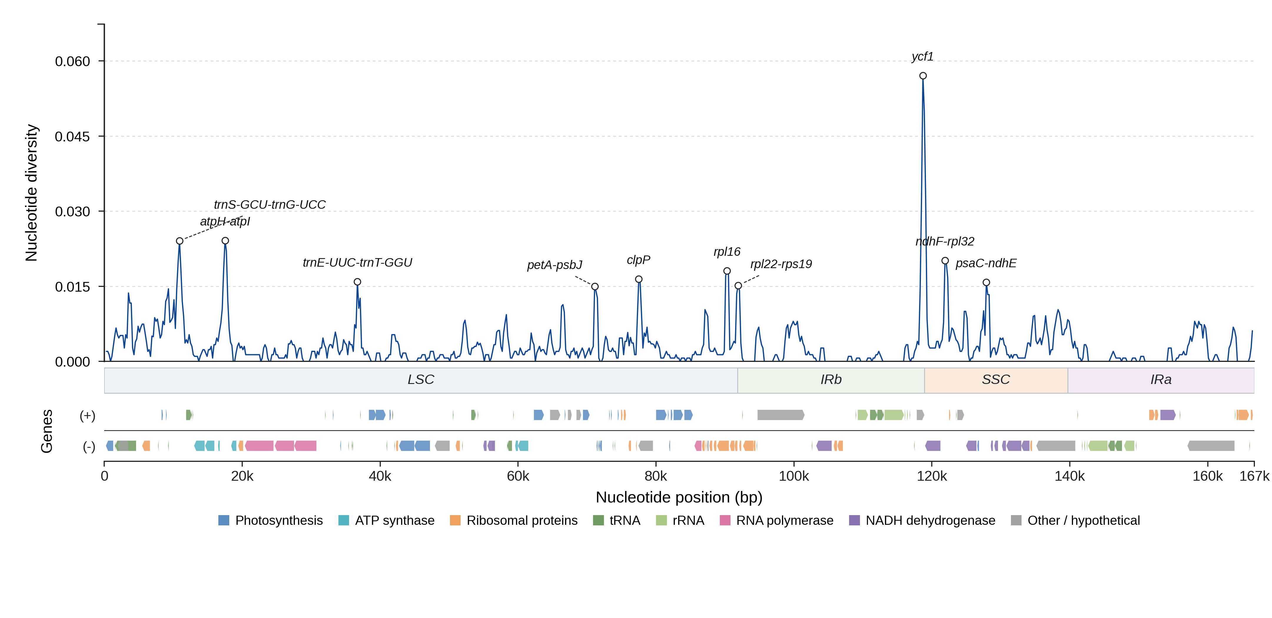Sliding-window nucleotide diversity