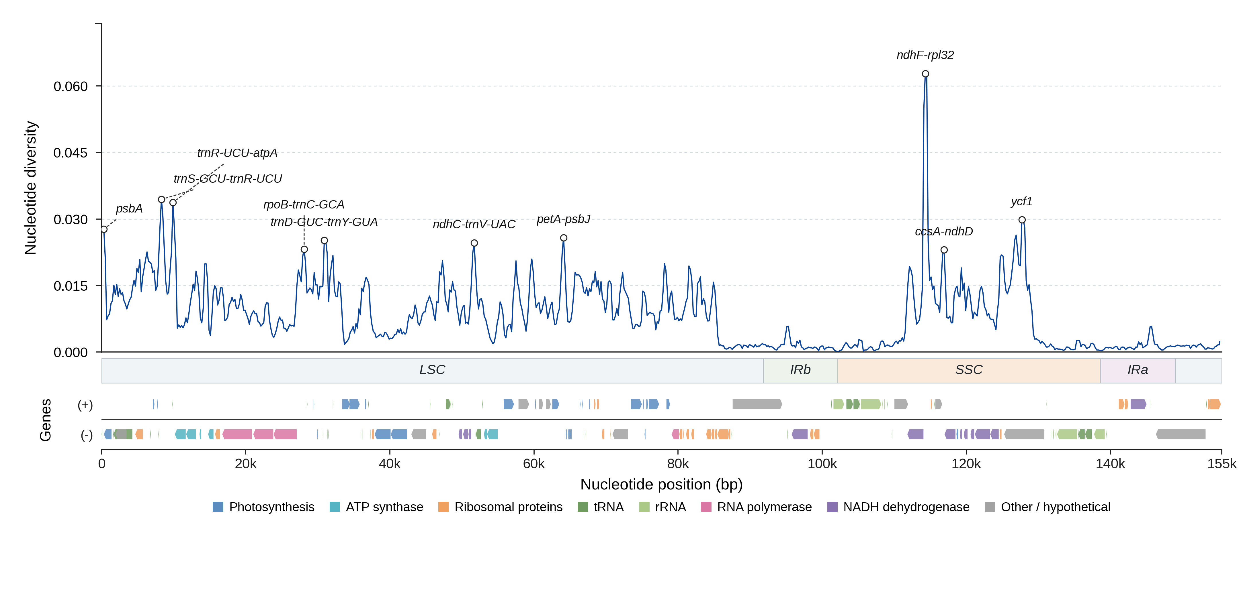 Sliding-window nucleotide diversity