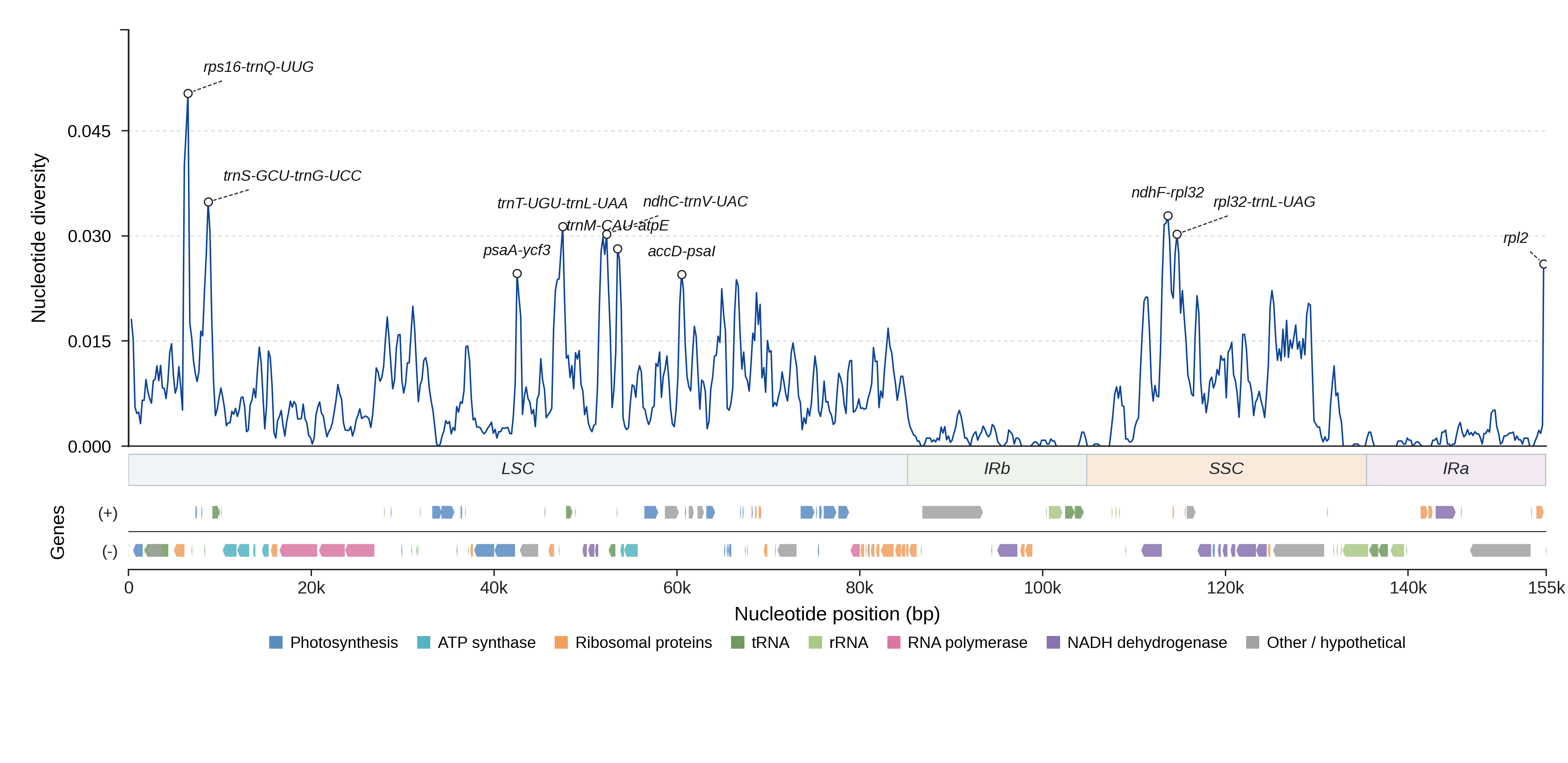 Sliding-window nucleotide diversity