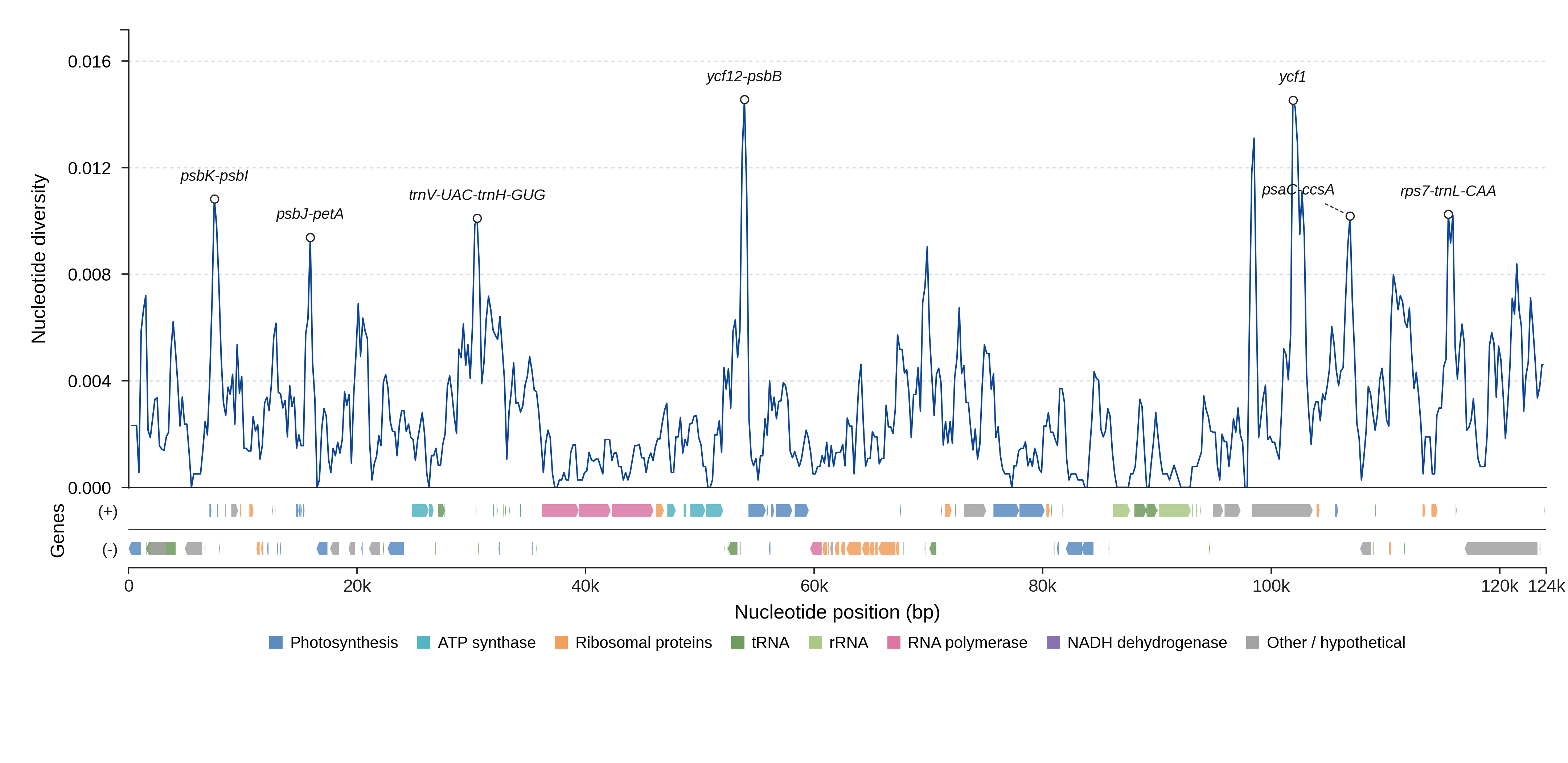 Sliding-window nucleotide diversity