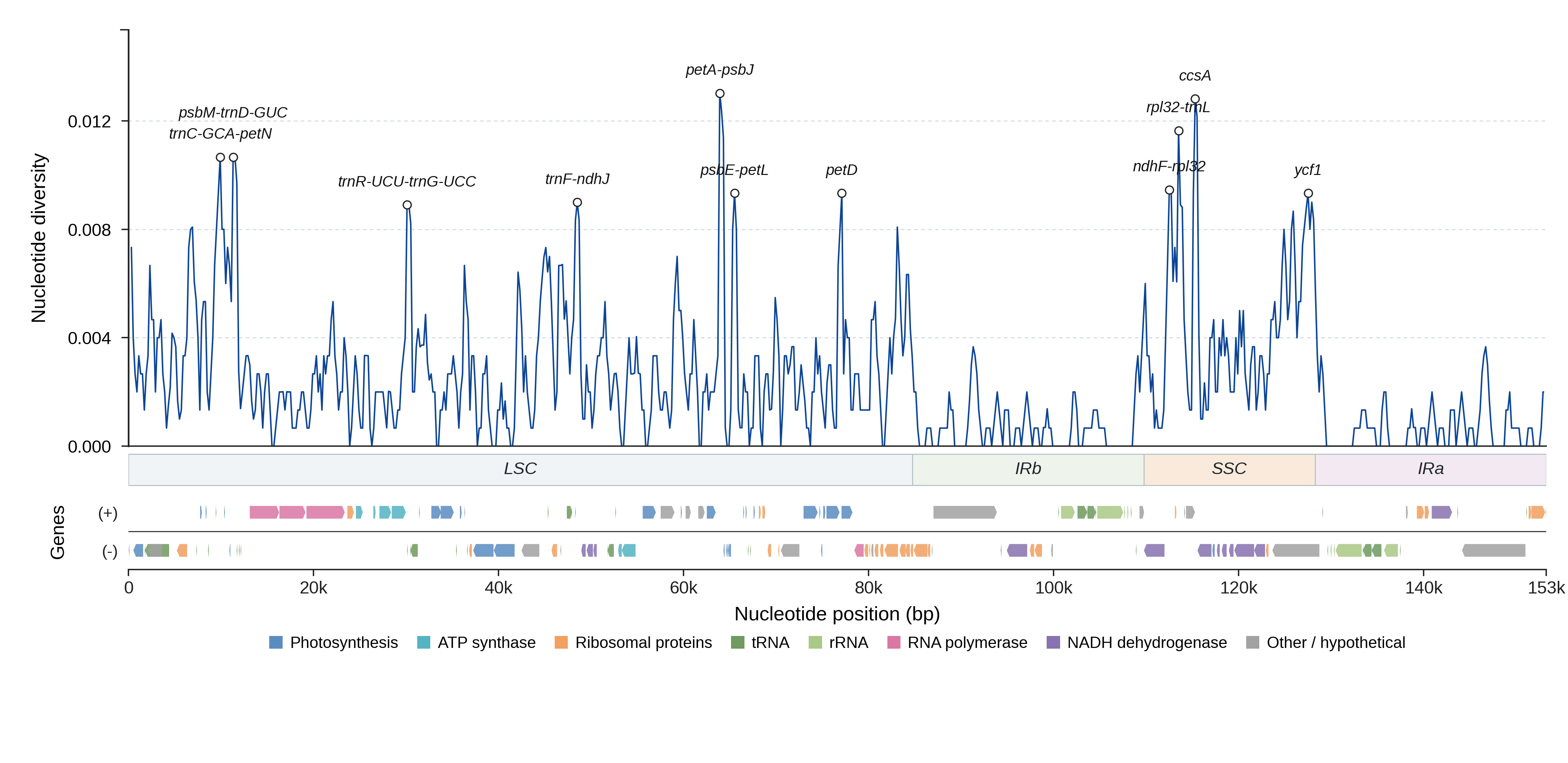 Sliding-window nucleotide diversity