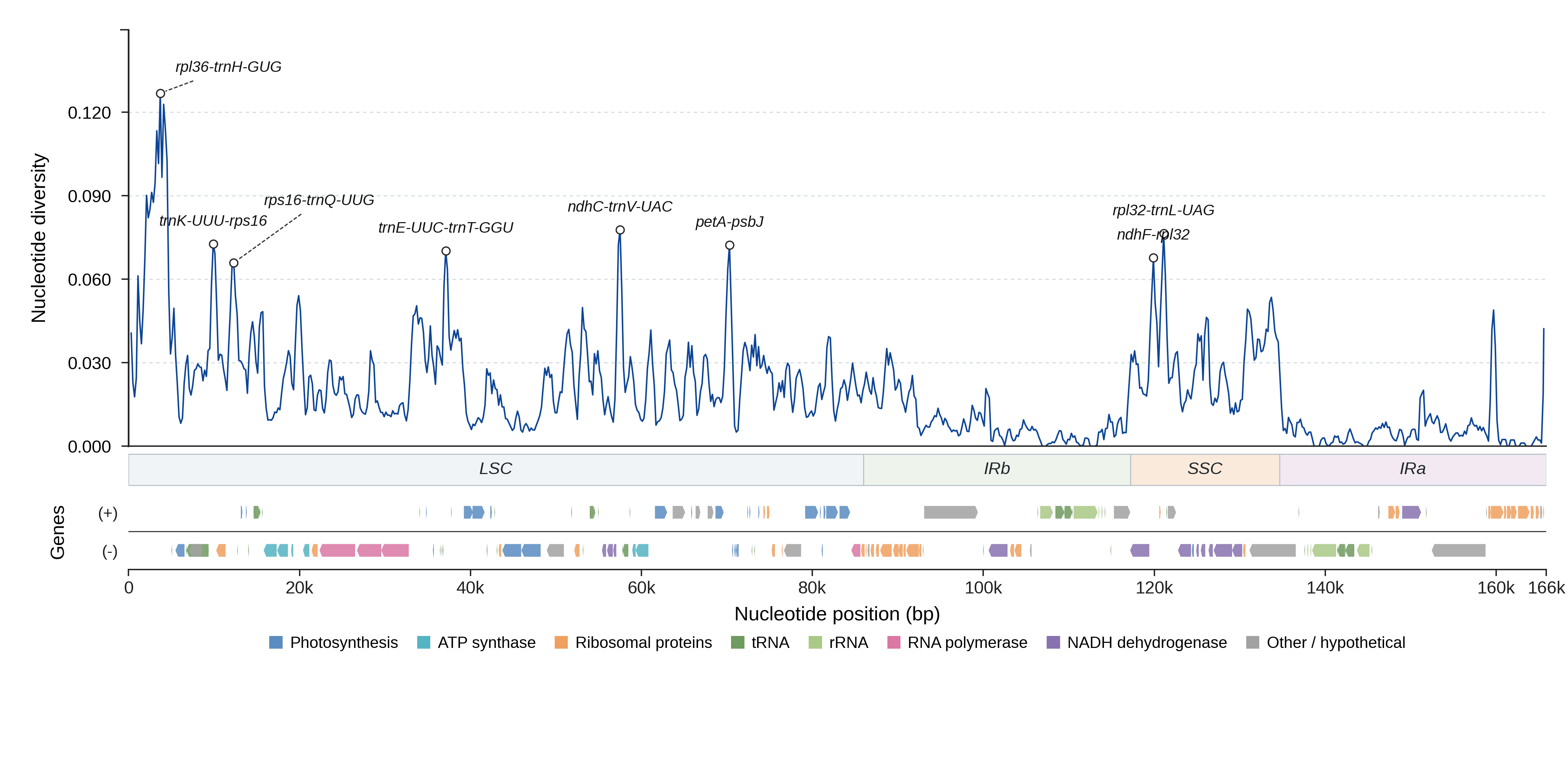Sliding-window nucleotide diversity
