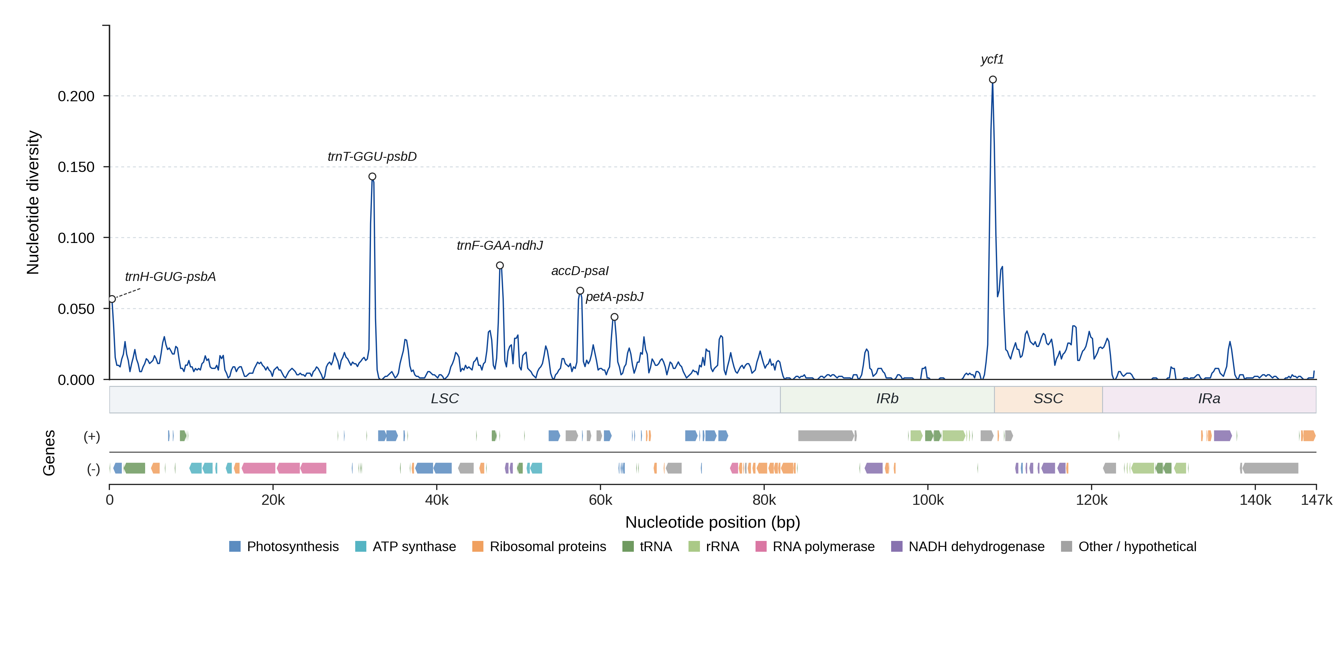 Sliding-window nucleotide diversity