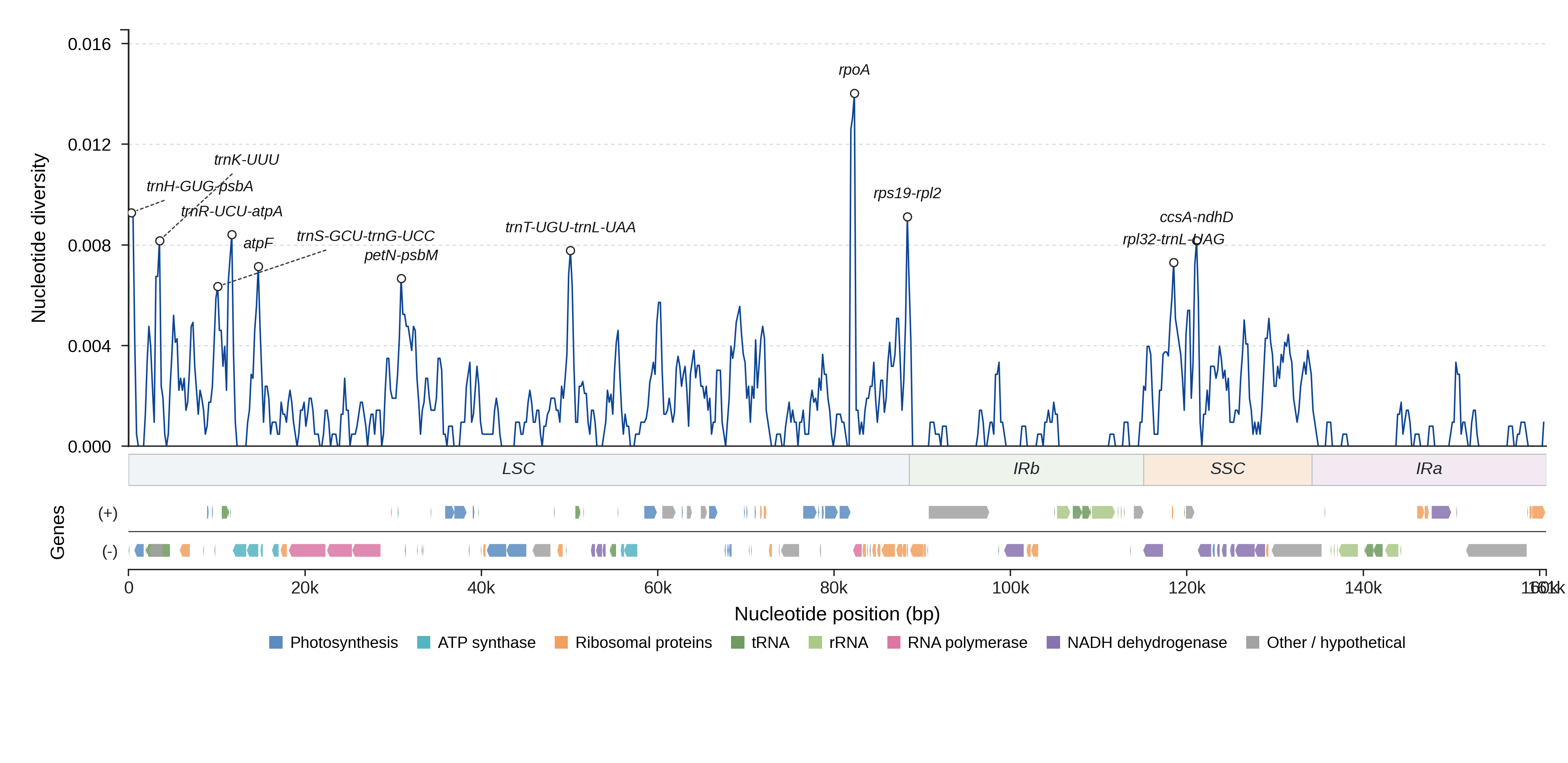 Sliding-window nucleotide diversity