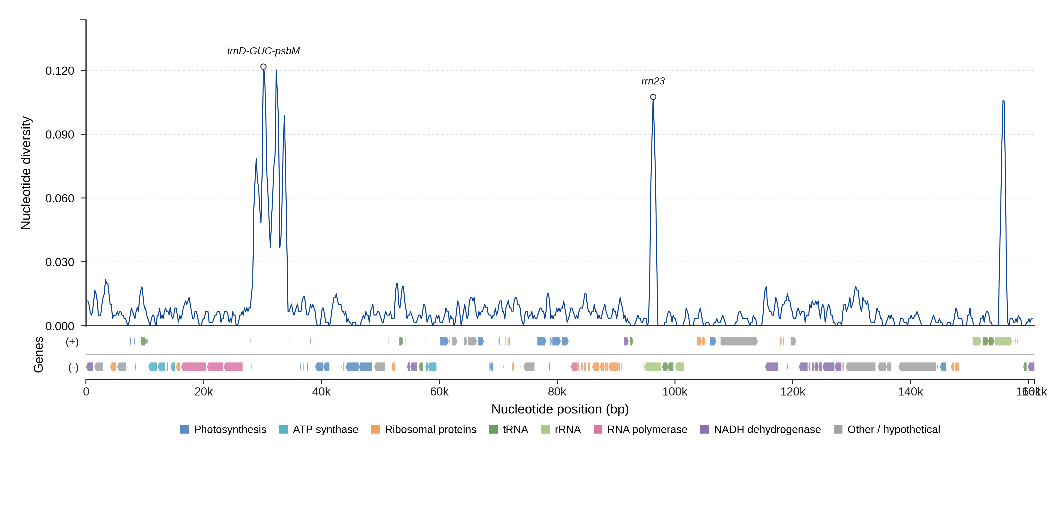 Sliding-window nucleotide diversity