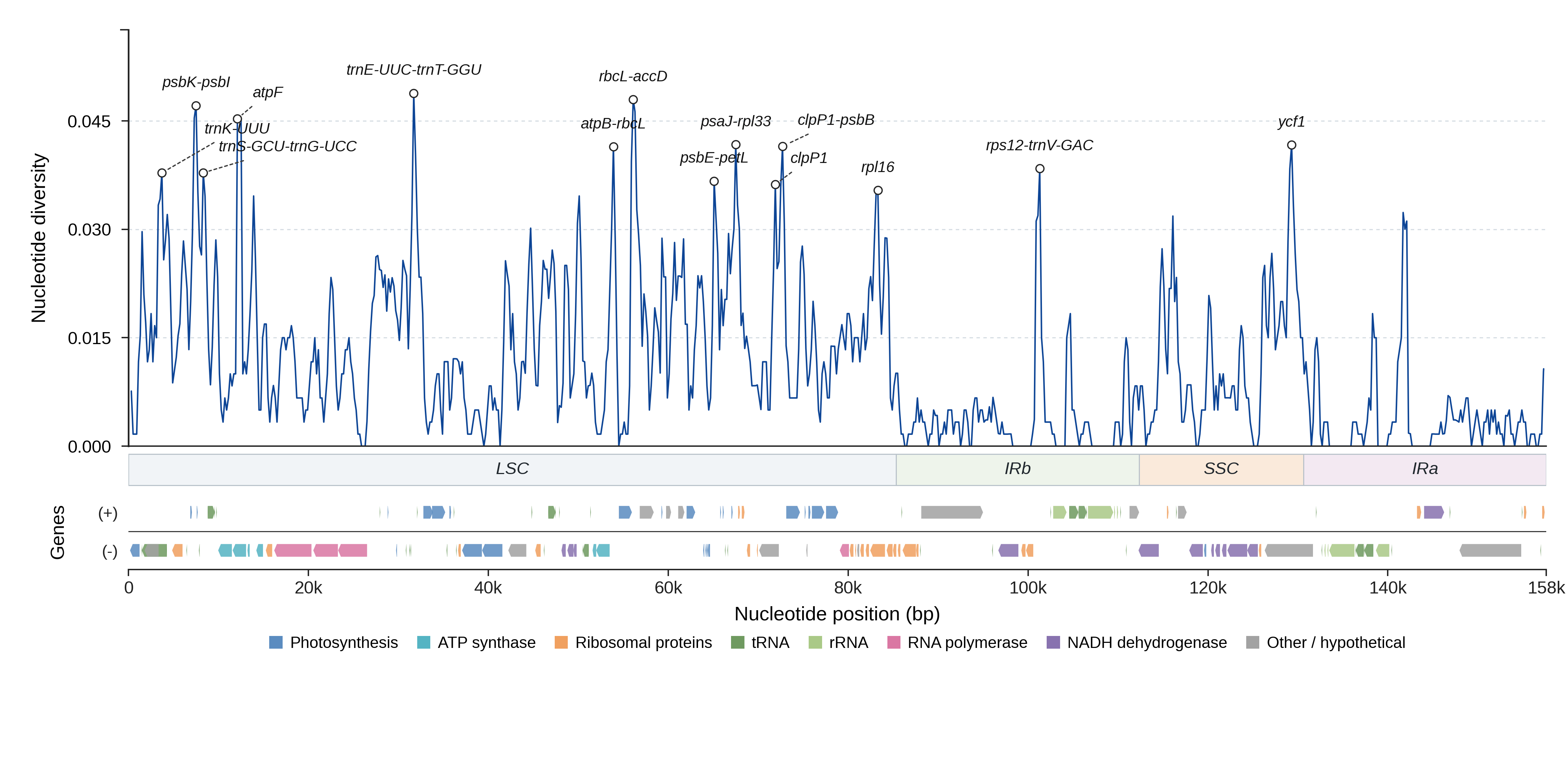 Sliding-window nucleotide diversity