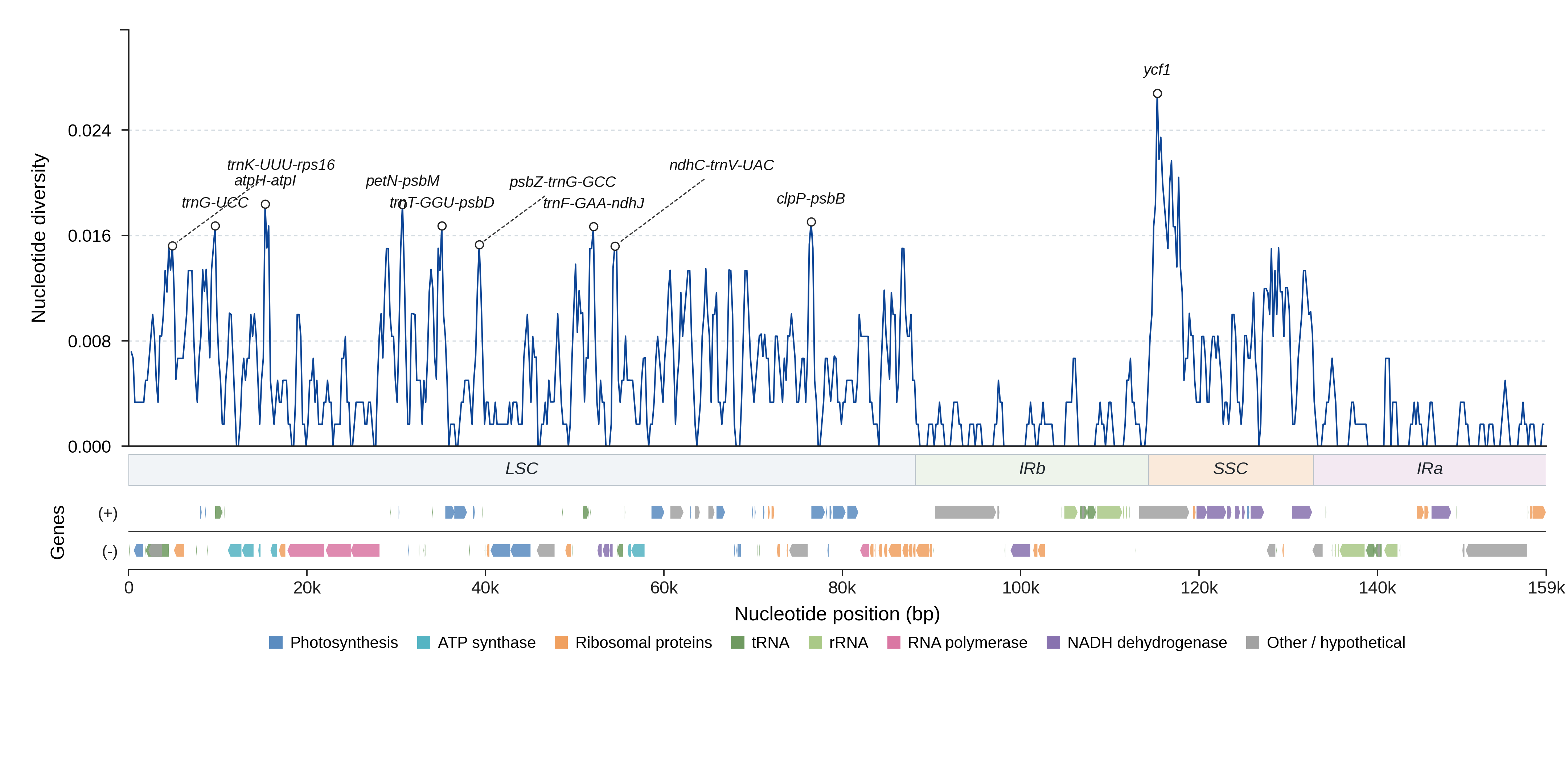 Sliding-window nucleotide diversity