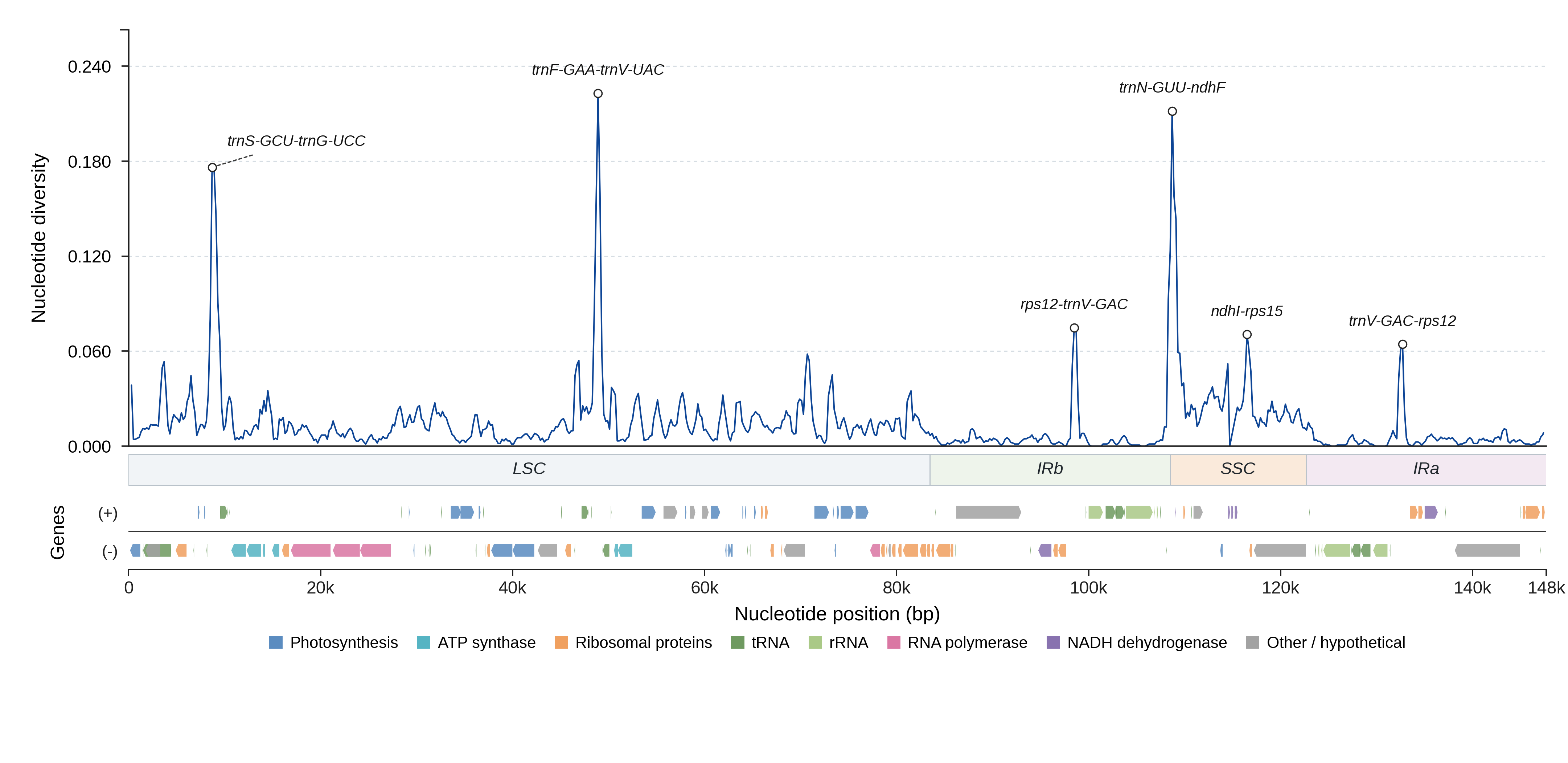 Sliding-window nucleotide diversity
