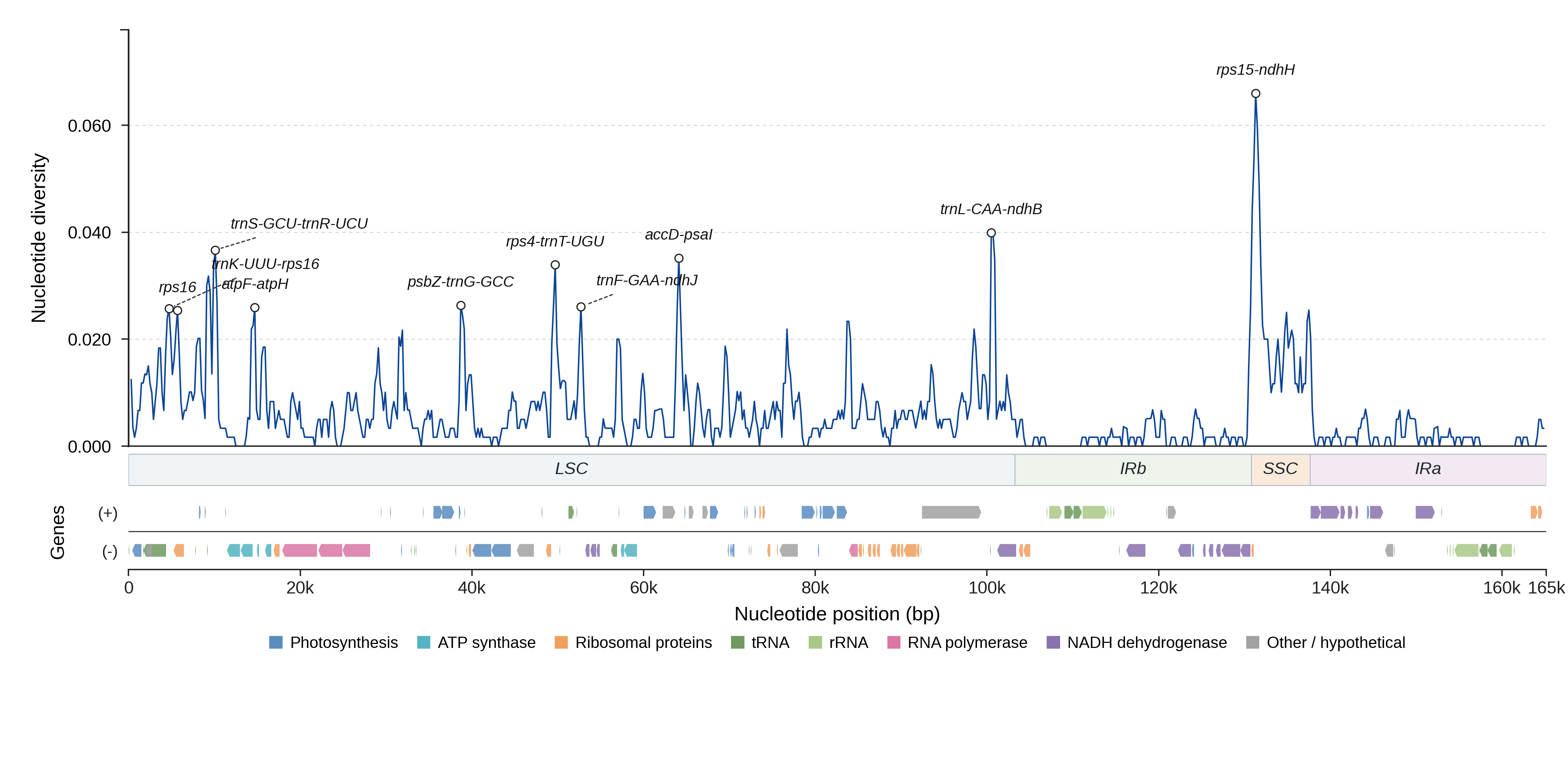Sliding-window nucleotide diversity