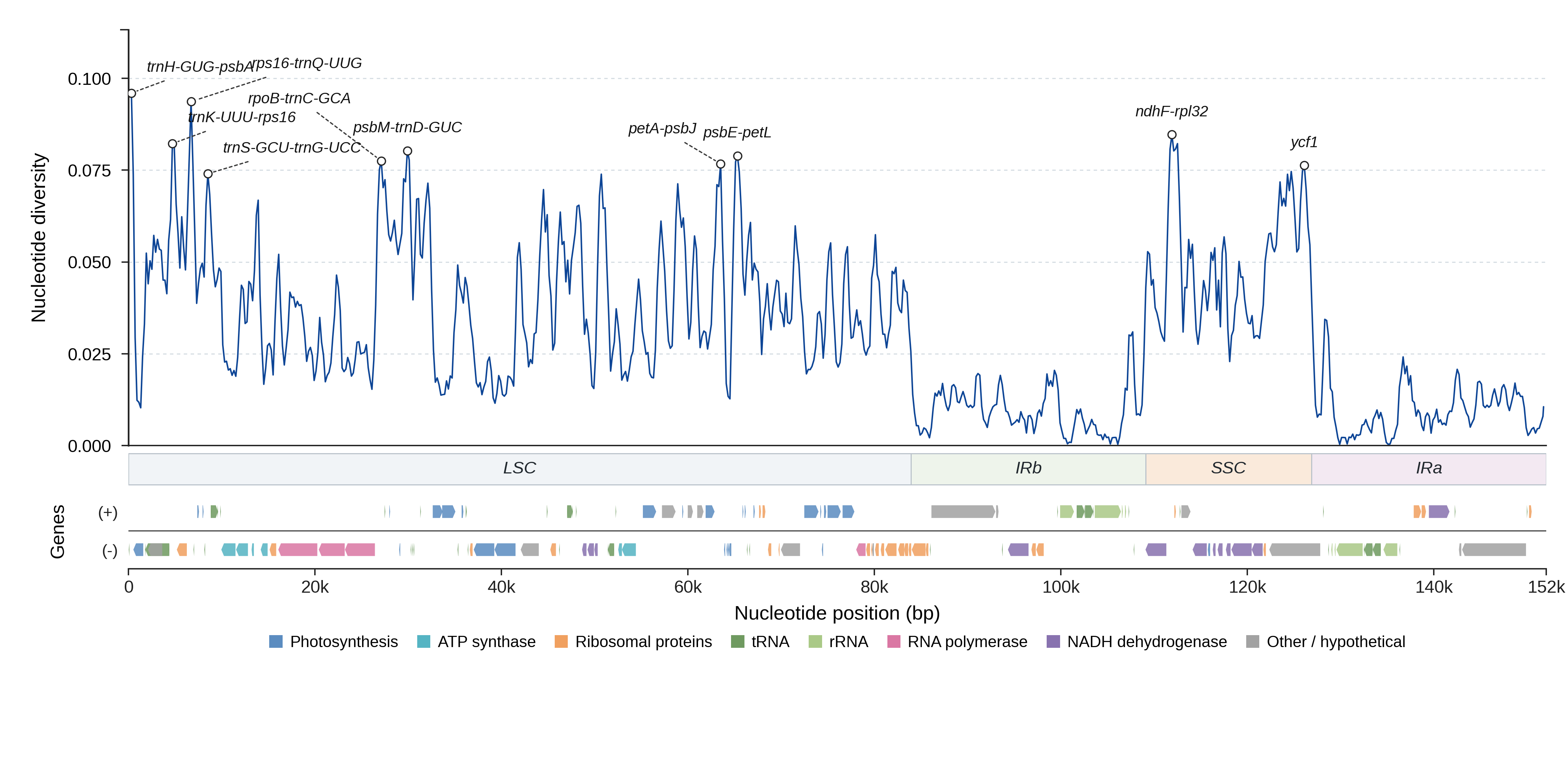 Sliding-window nucleotide diversity