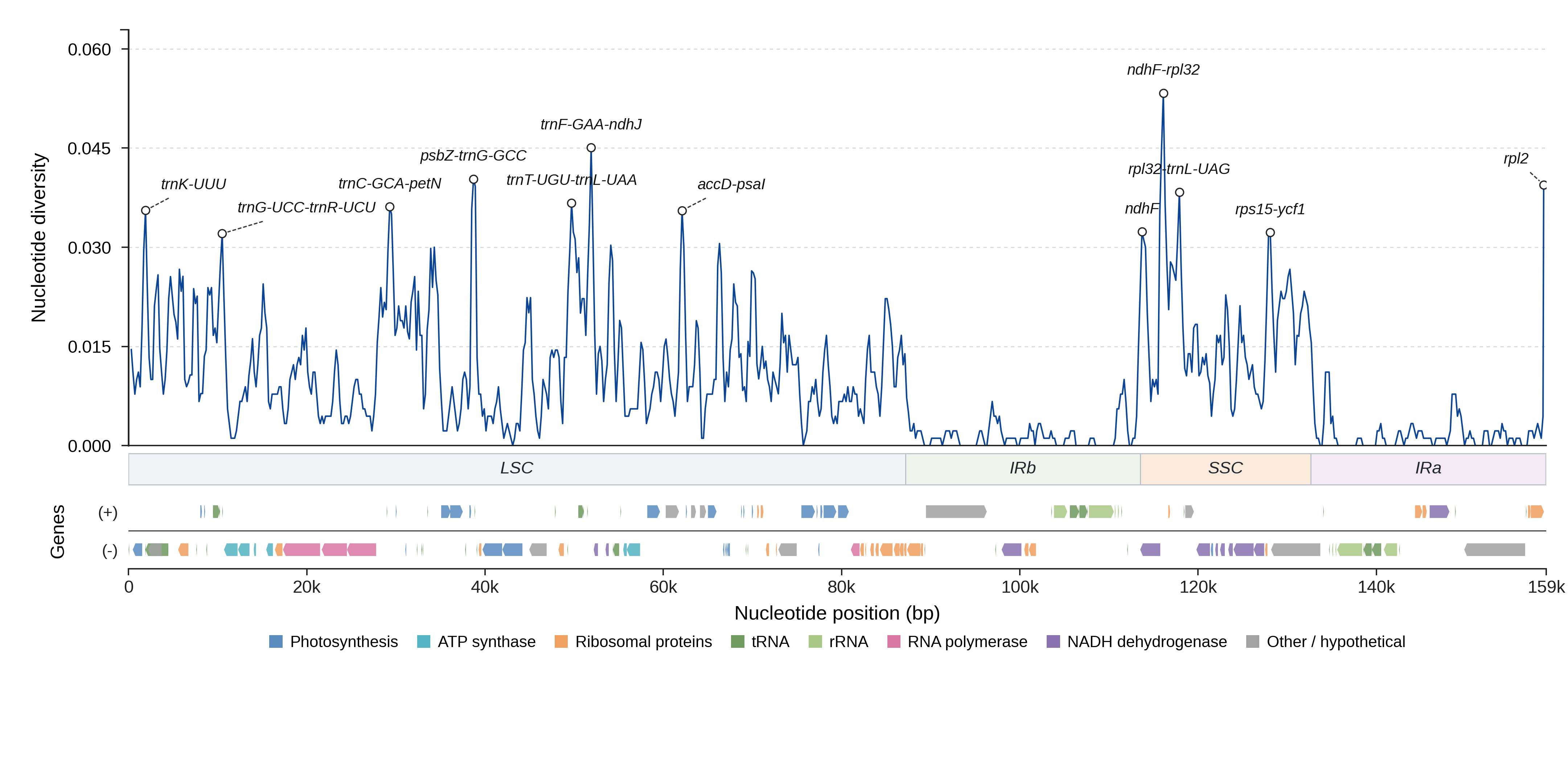 Sliding-window nucleotide diversity
