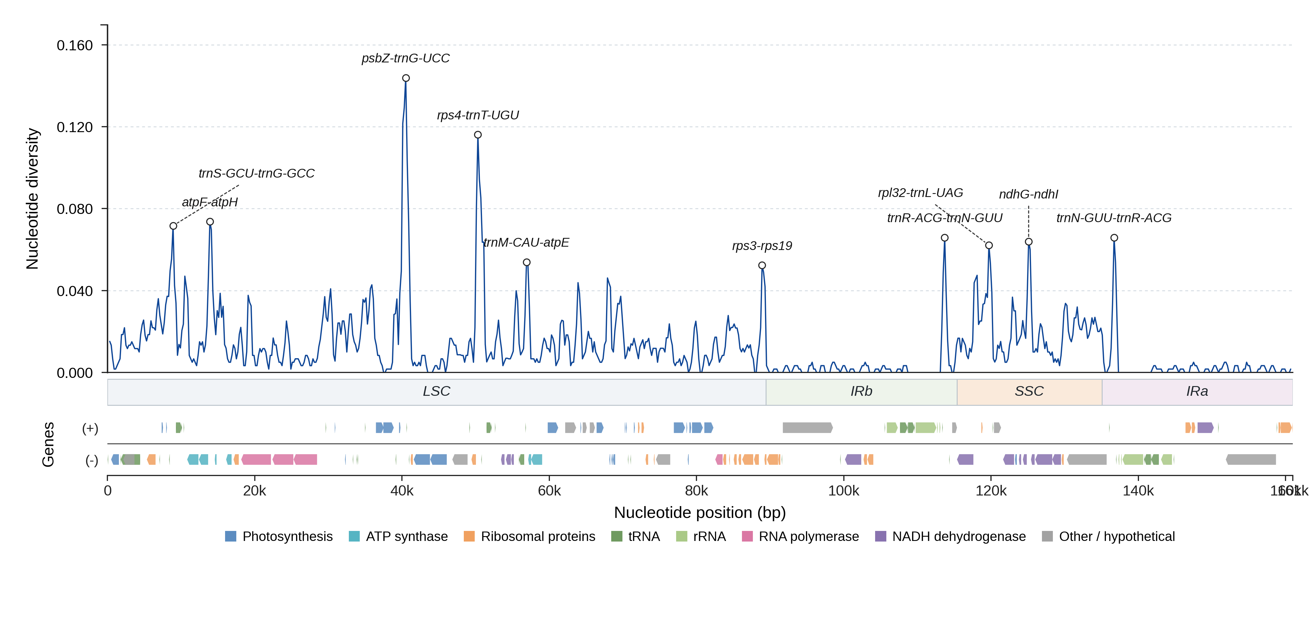 Sliding-window nucleotide diversity