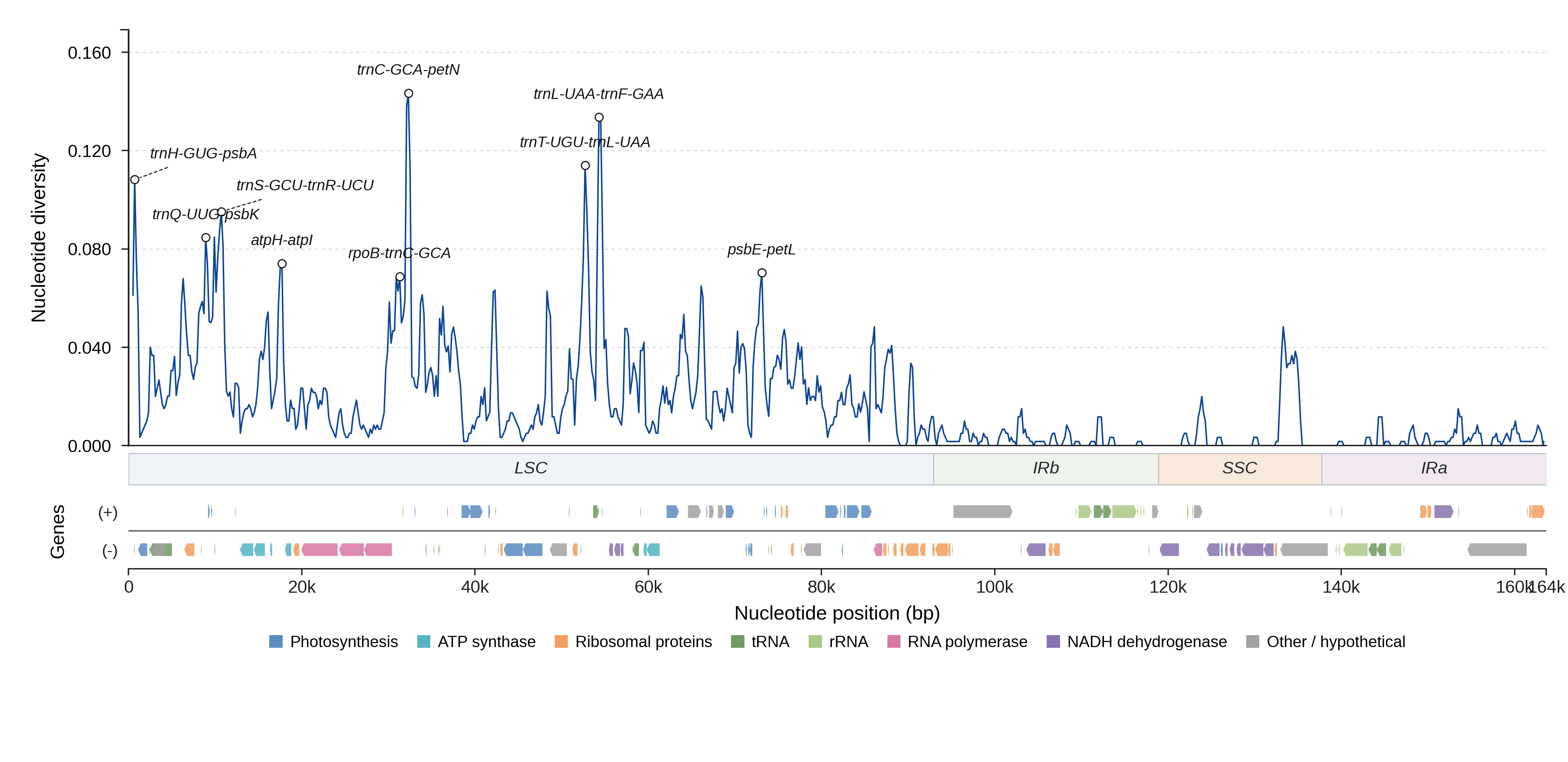 Sliding-window nucleotide diversity