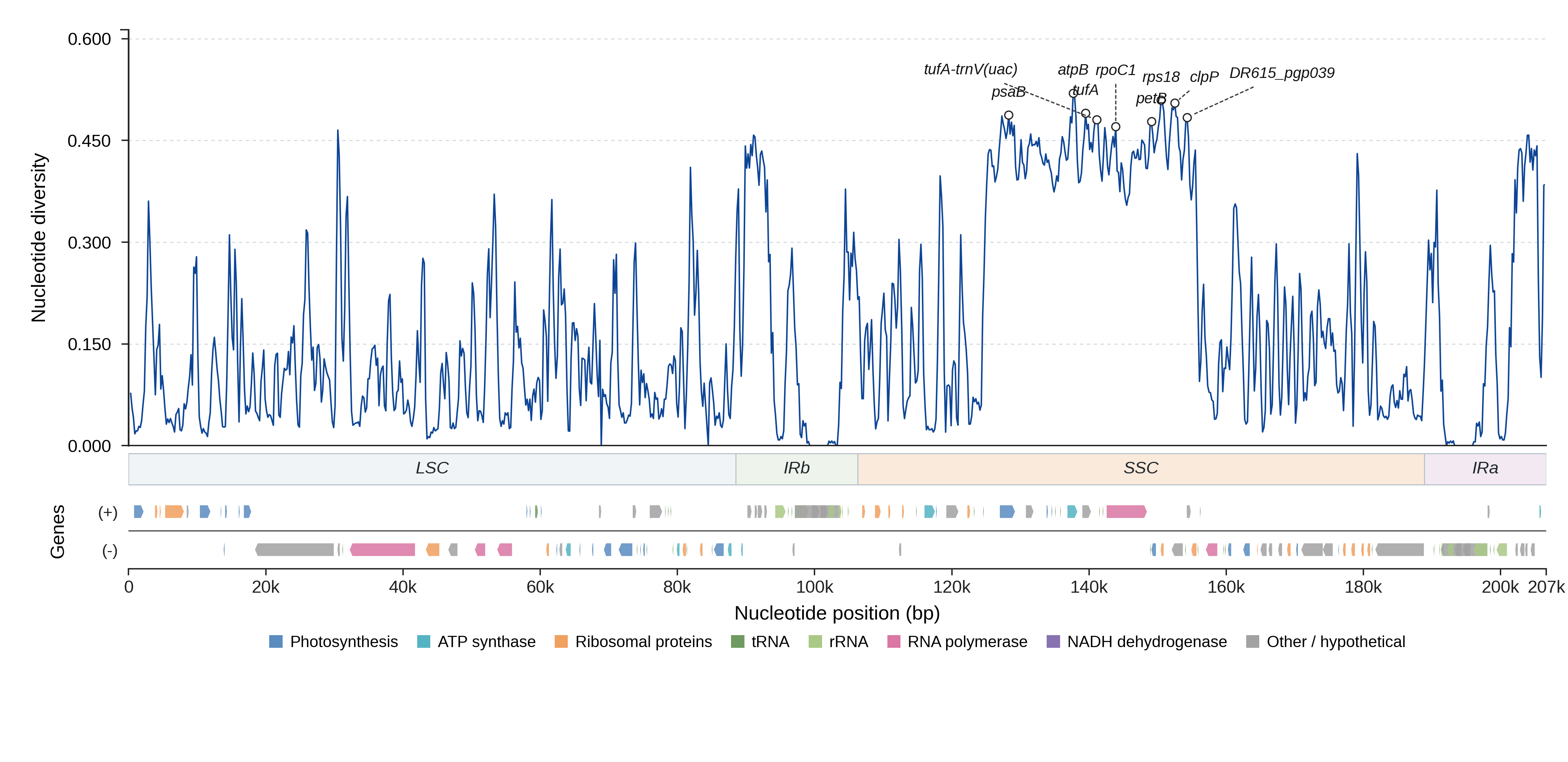 Sliding-window nucleotide diversity