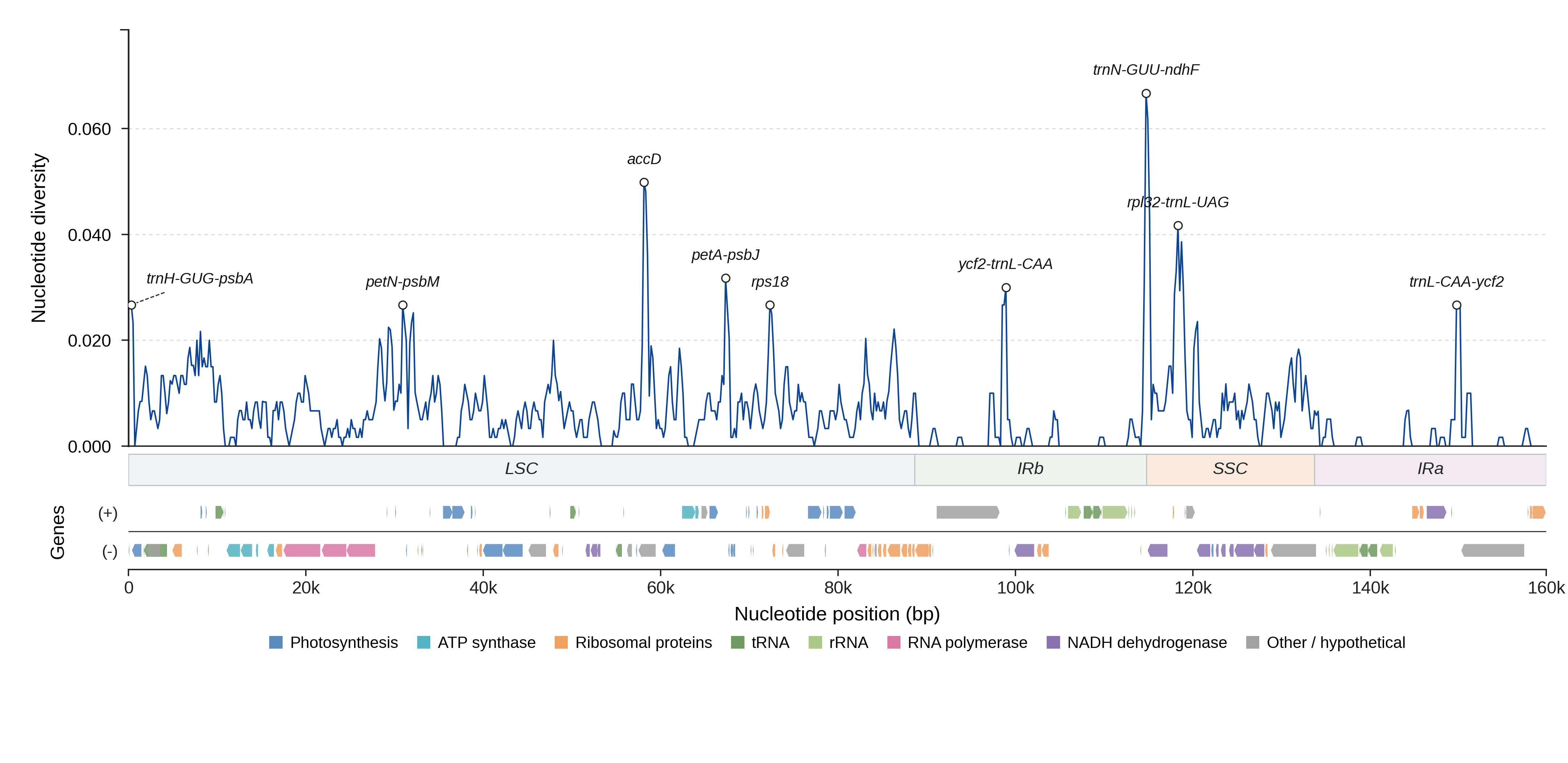 Sliding-window nucleotide diversity