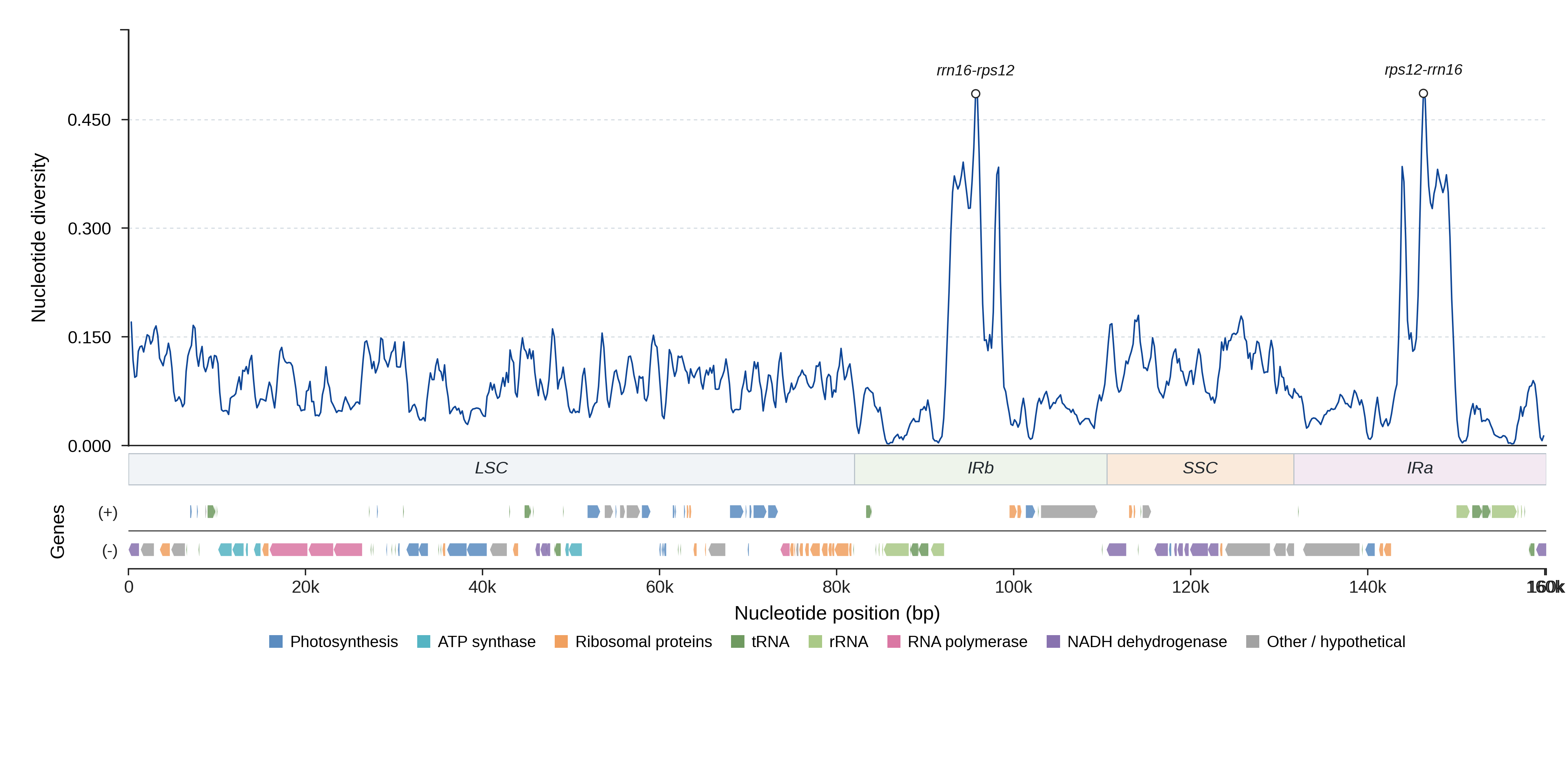 Sliding-window nucleotide diversity