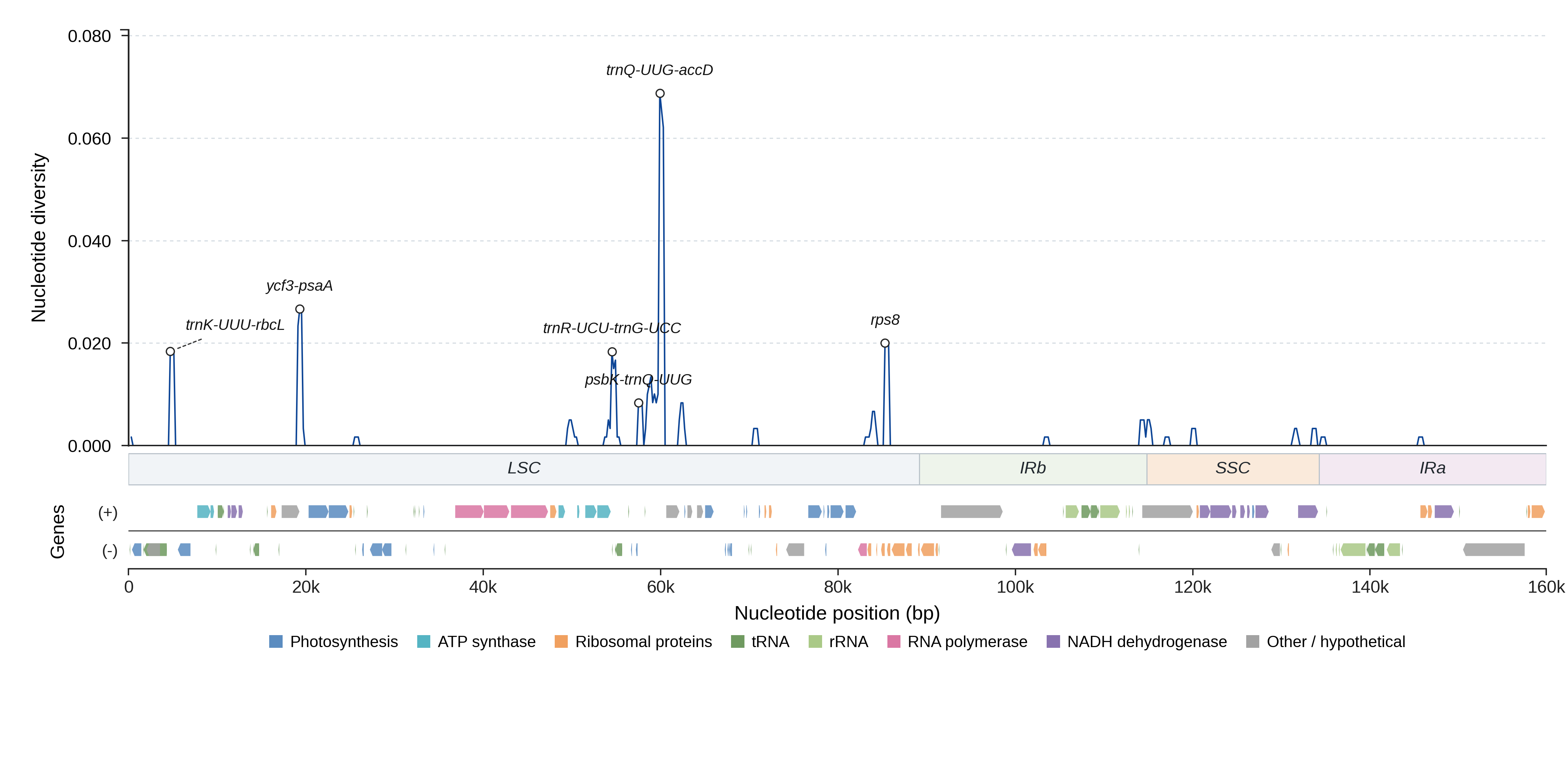 Sliding-window nucleotide diversity