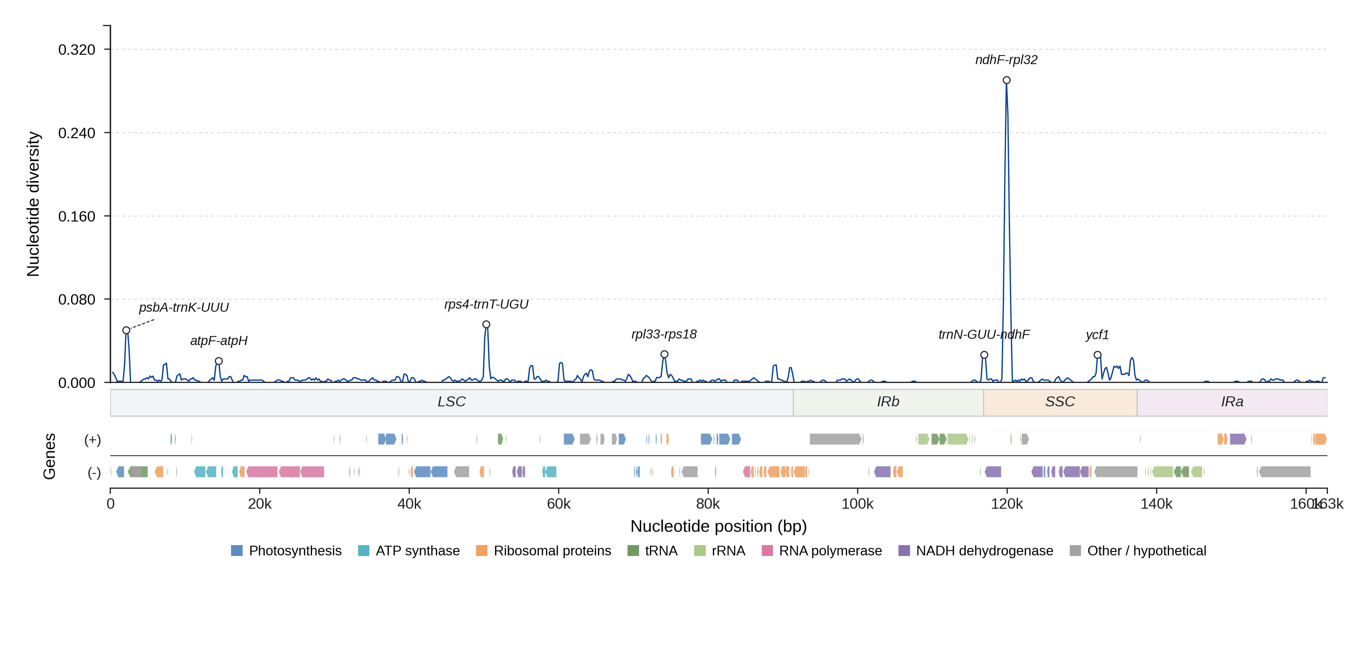 Sliding-window nucleotide diversity