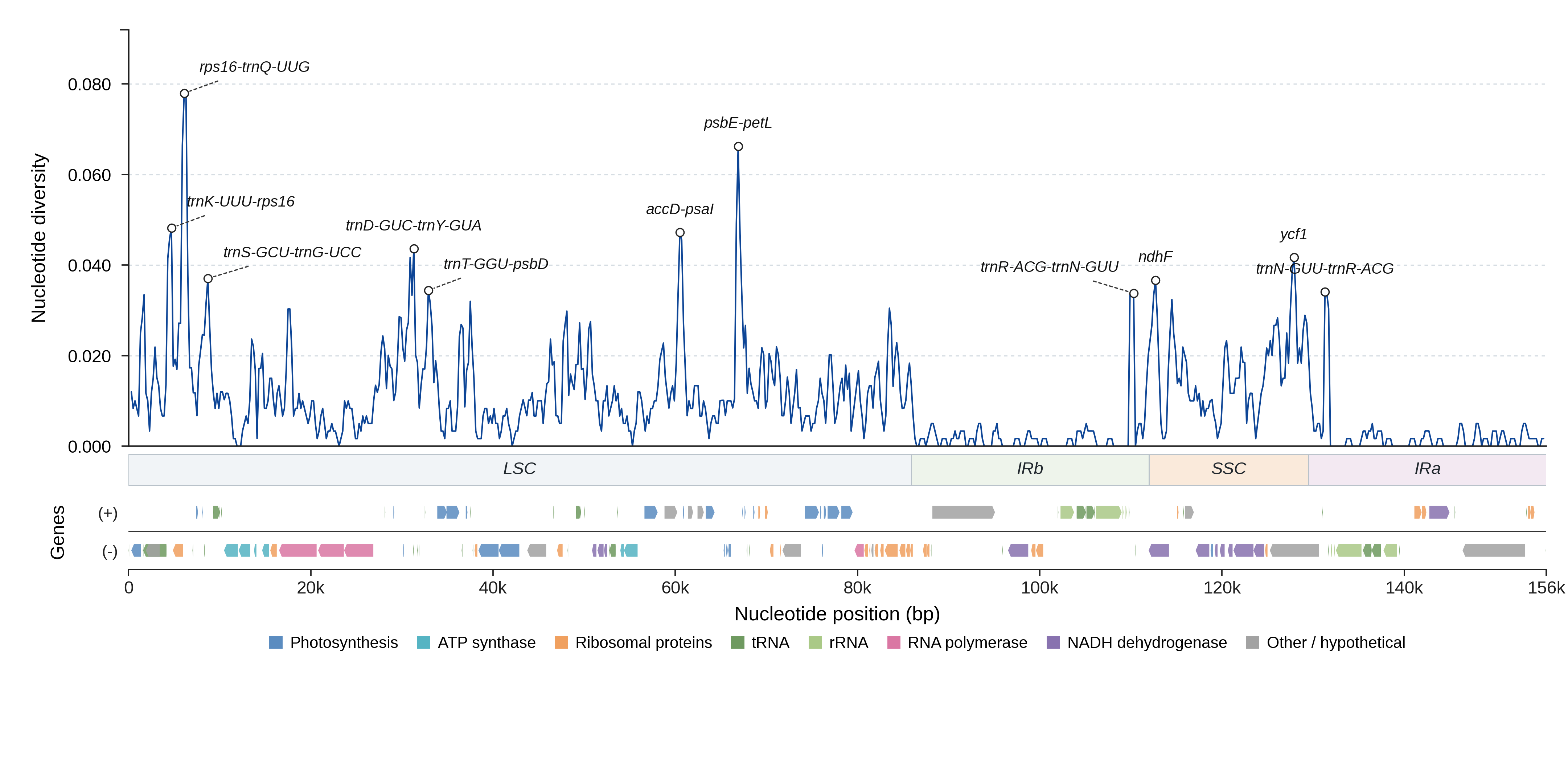 Sliding-window nucleotide diversity