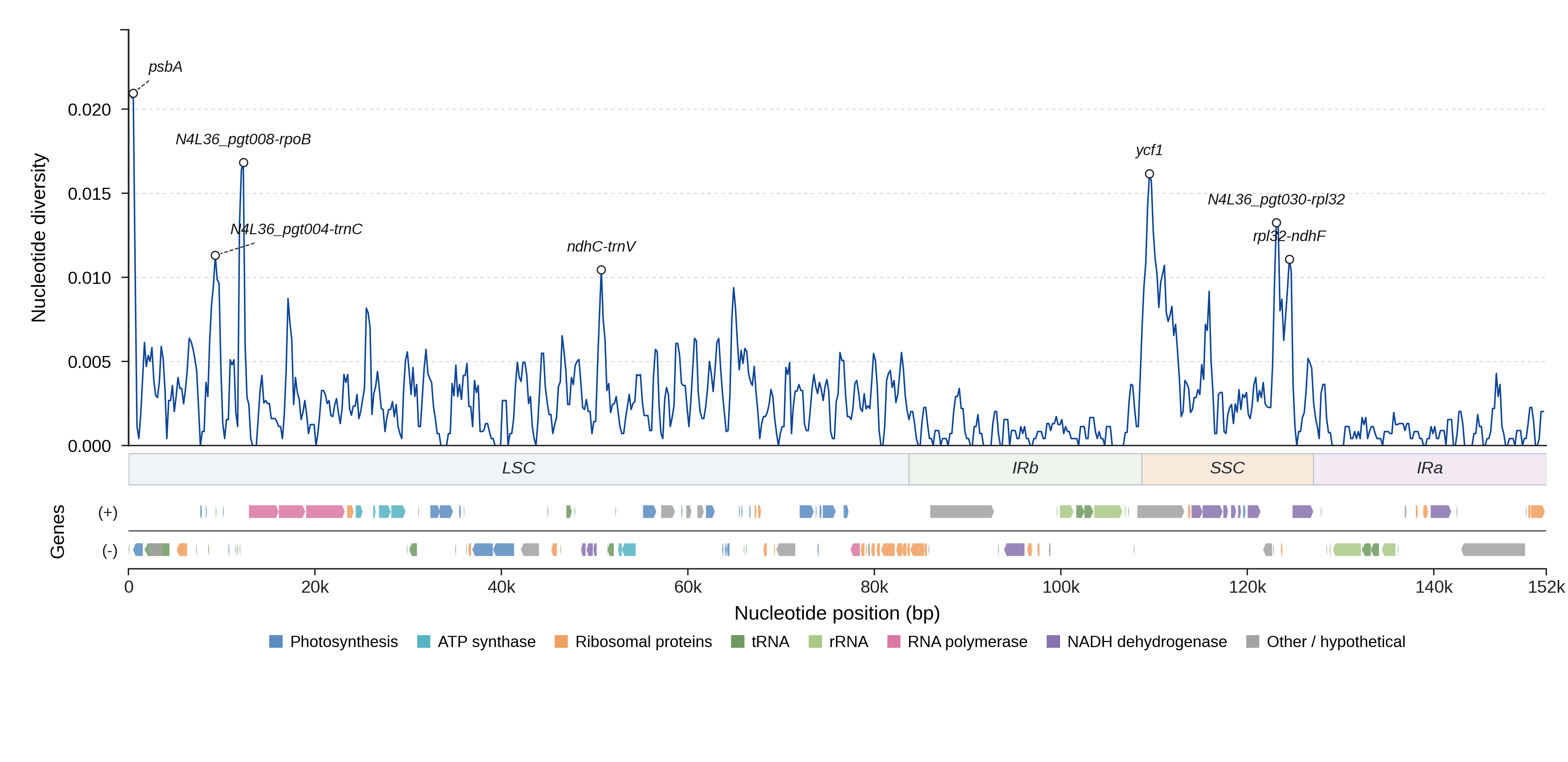 Sliding-window nucleotide diversity