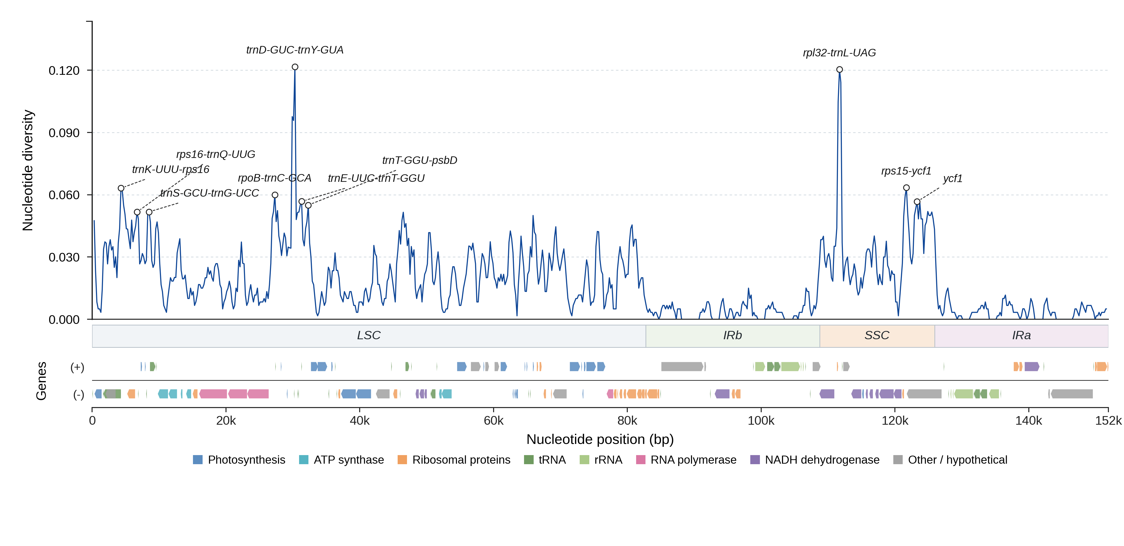 Sliding-window nucleotide diversity