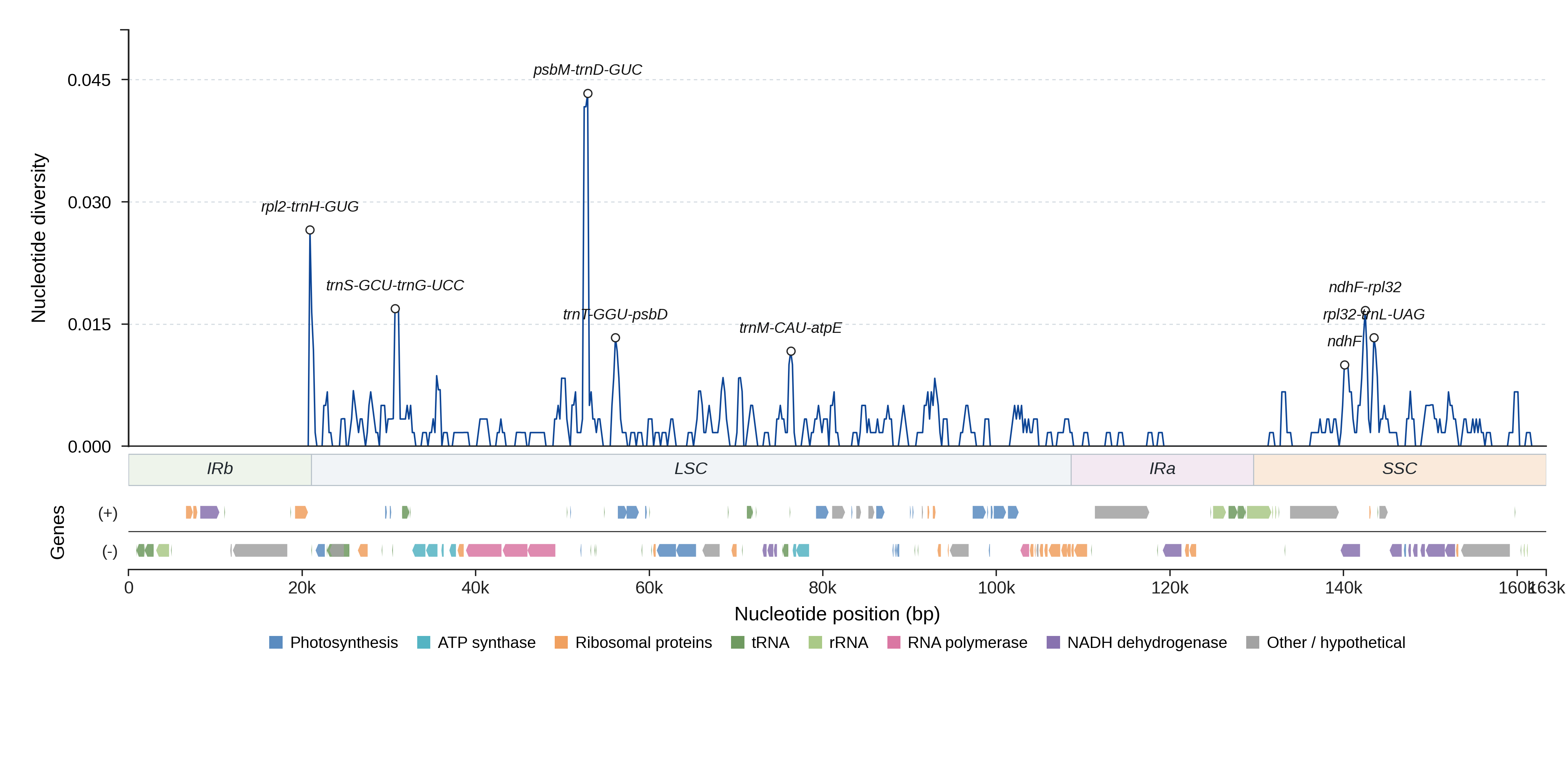 Sliding-window nucleotide diversity