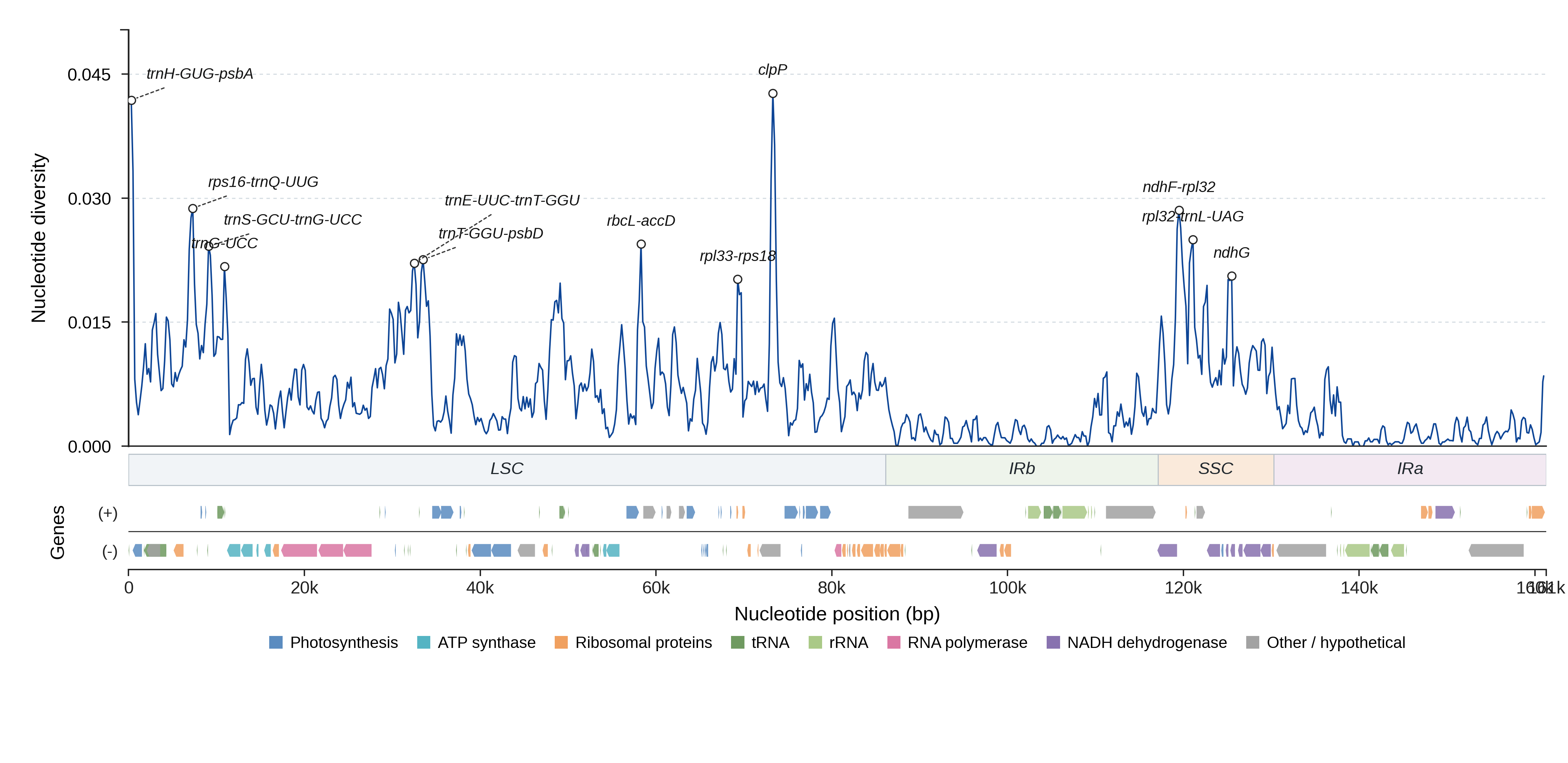 Sliding-window nucleotide diversity