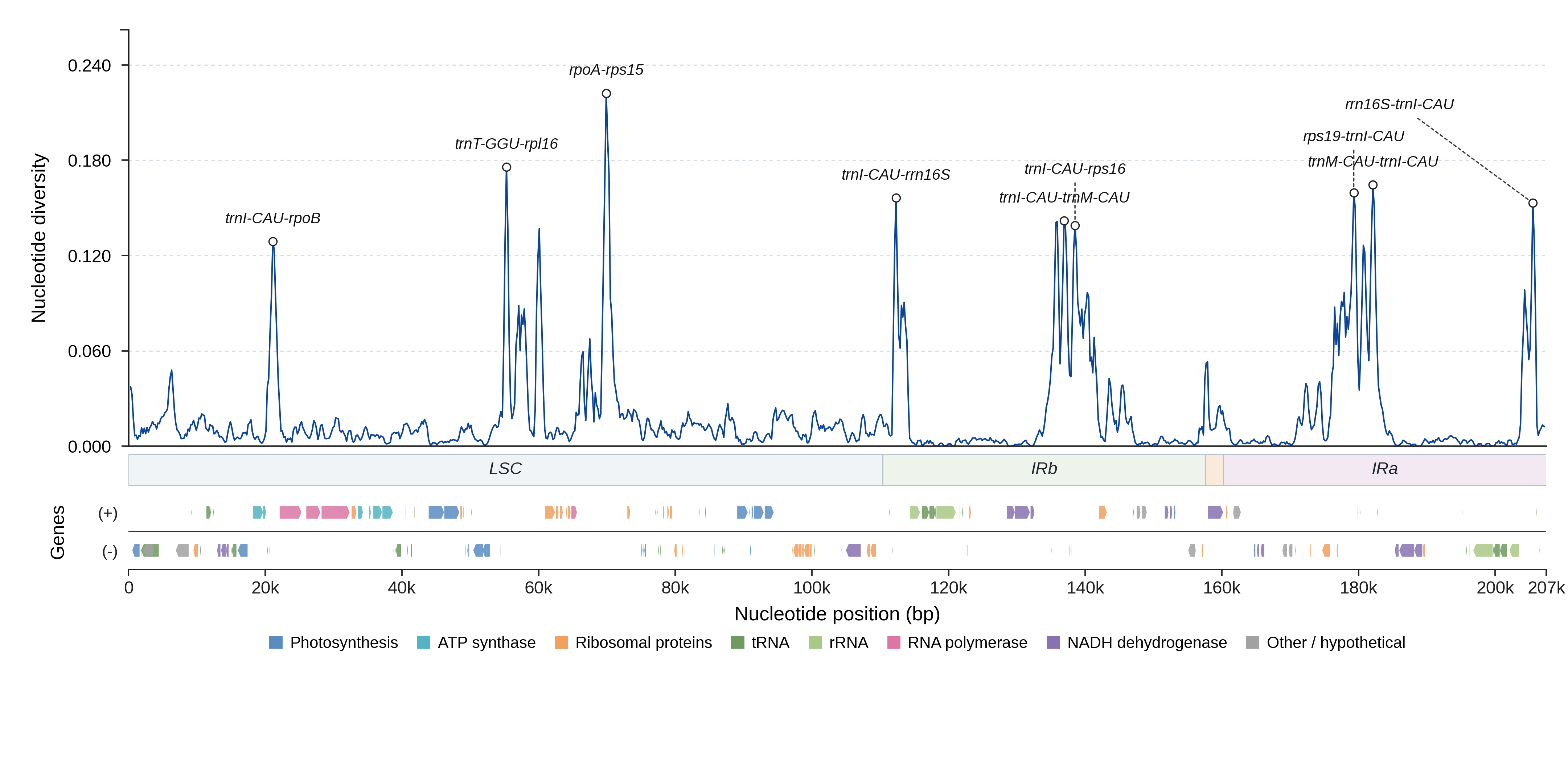 Sliding-window nucleotide diversity