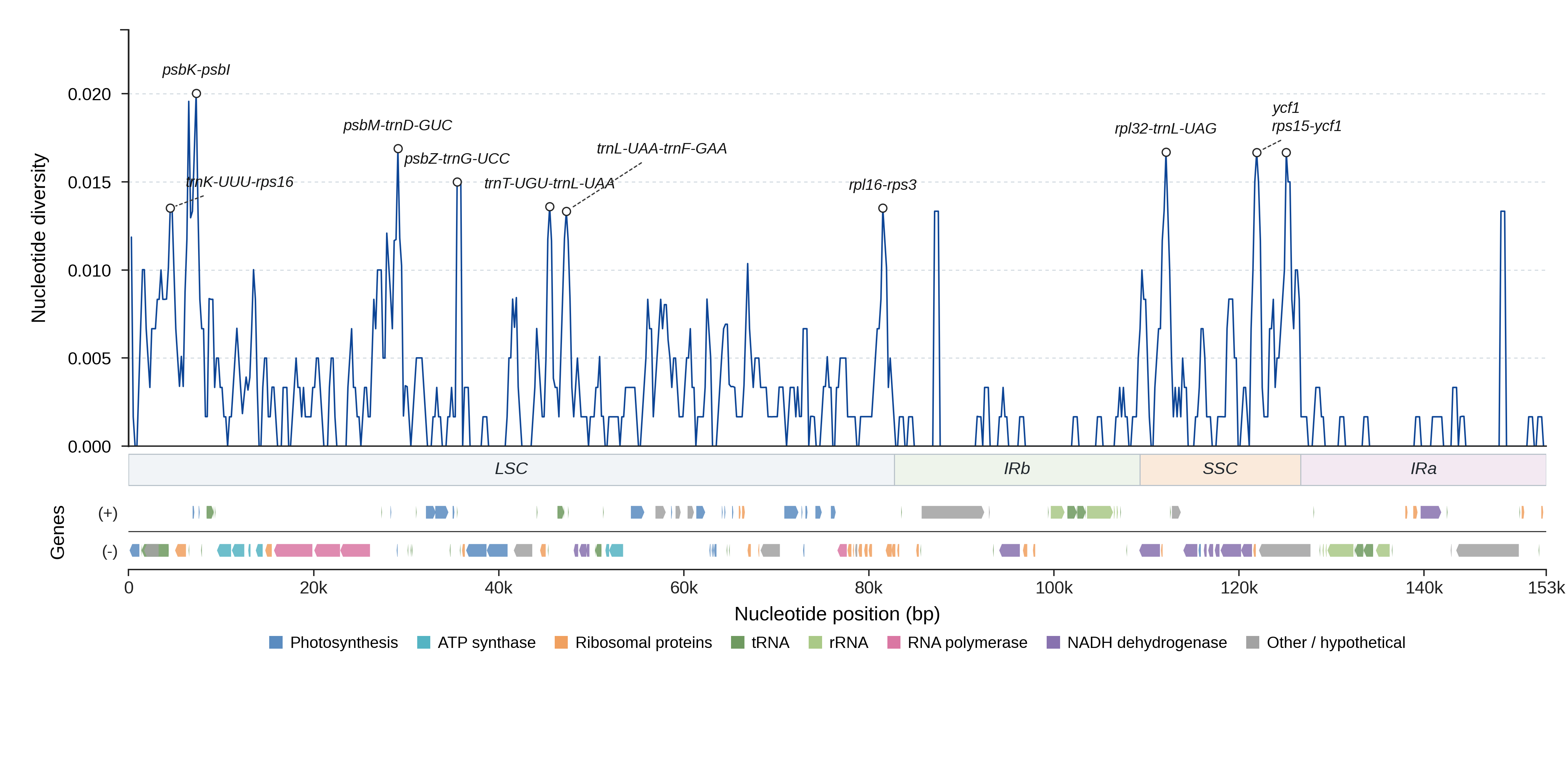 Sliding-window nucleotide diversity